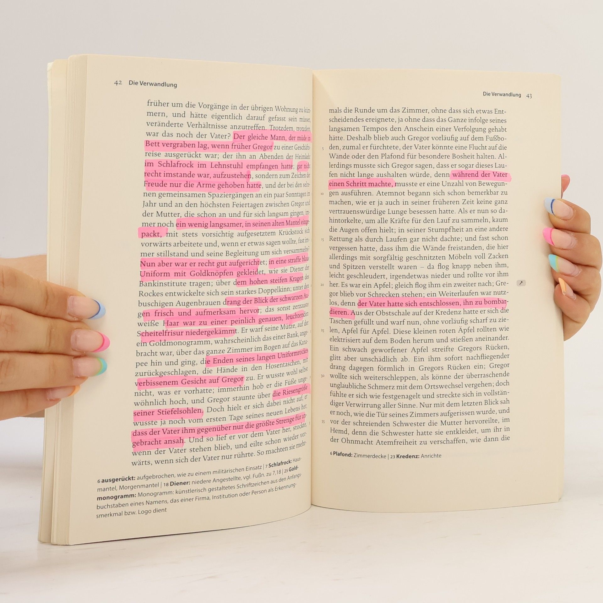Franz Kafka Die Verwandlung. Textausgabe mit Kommentar und Materialien