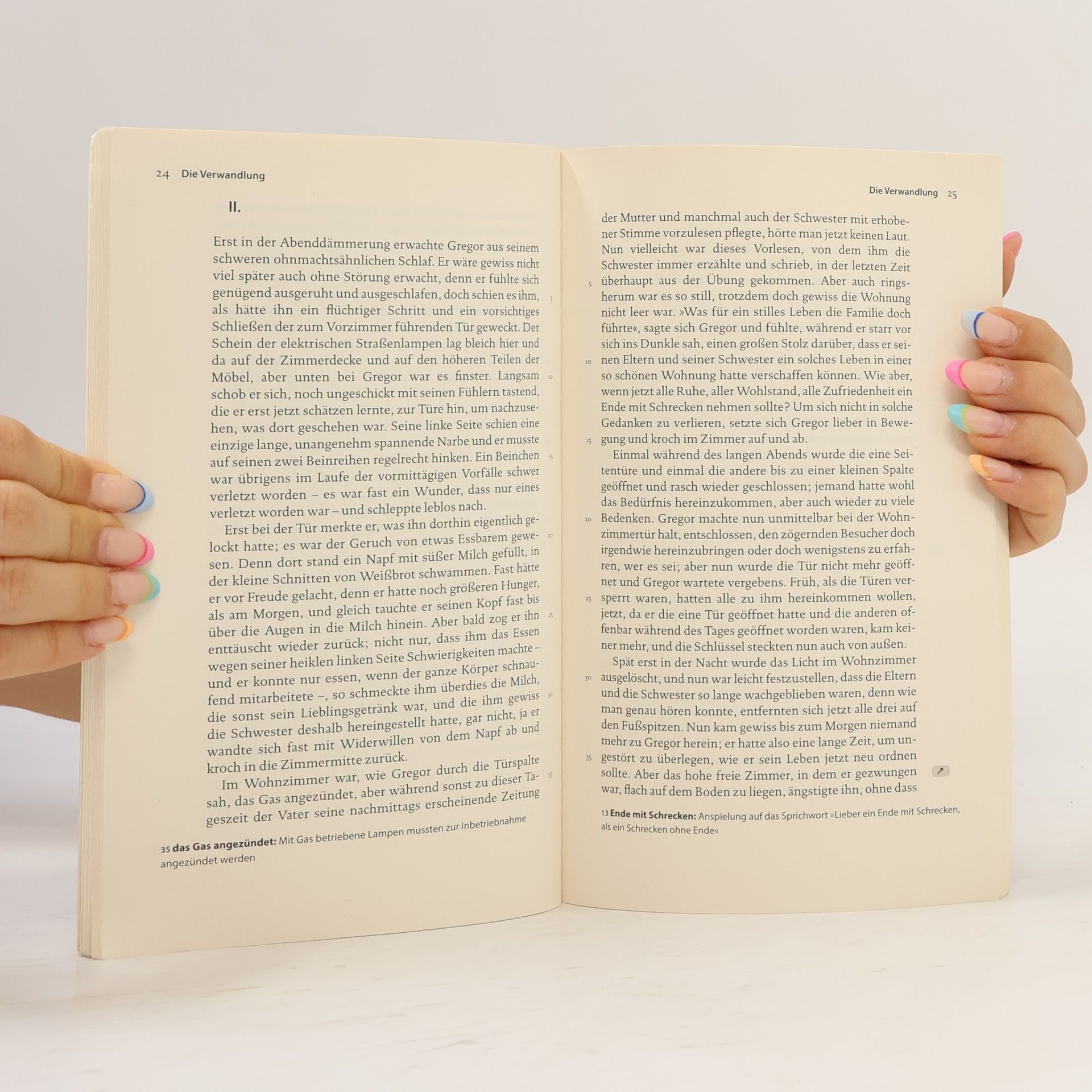 Franz Kafka Die Verwandlung. Textausgabe mit Kommentar und Materialien