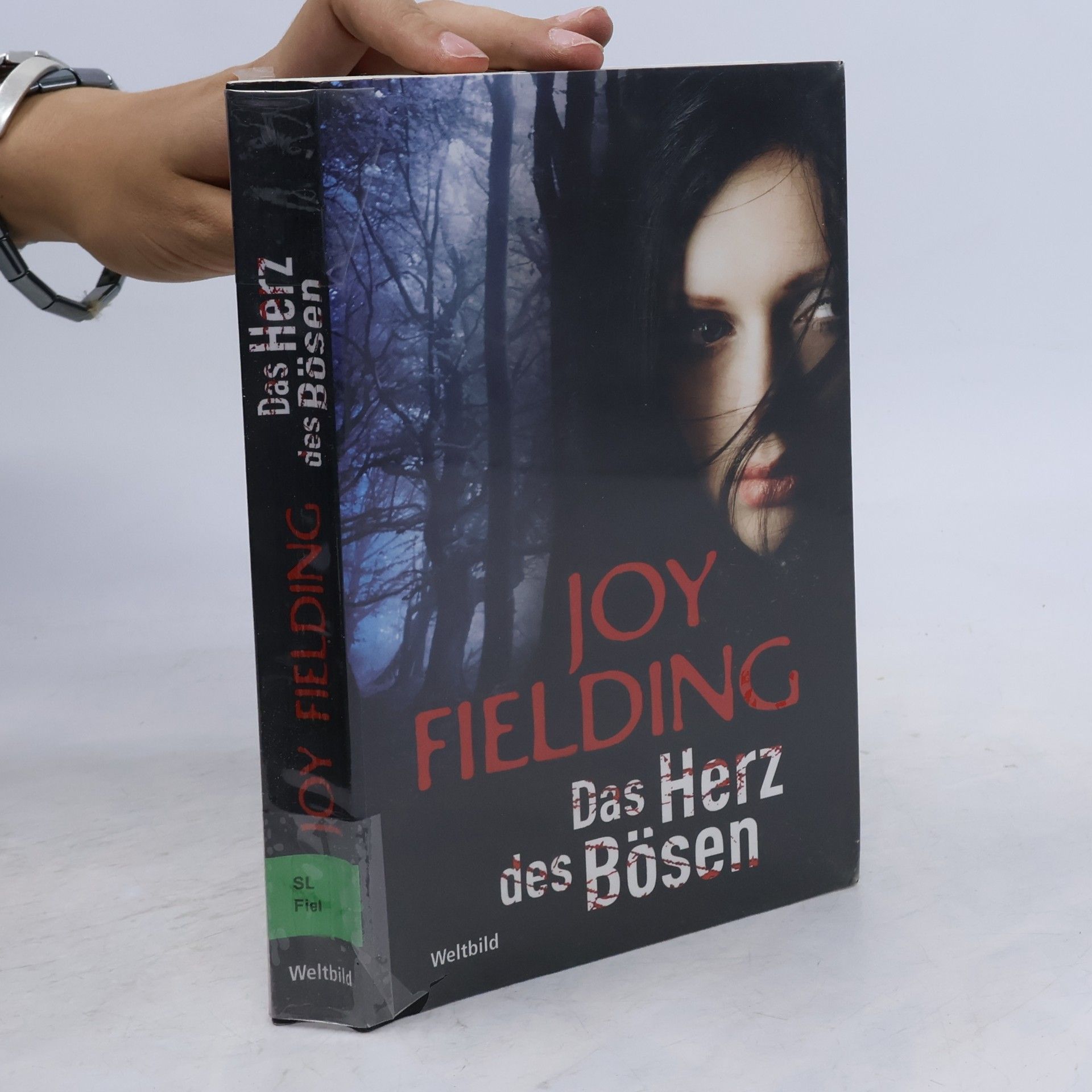 Joy Fielding Das Herz des Bösen