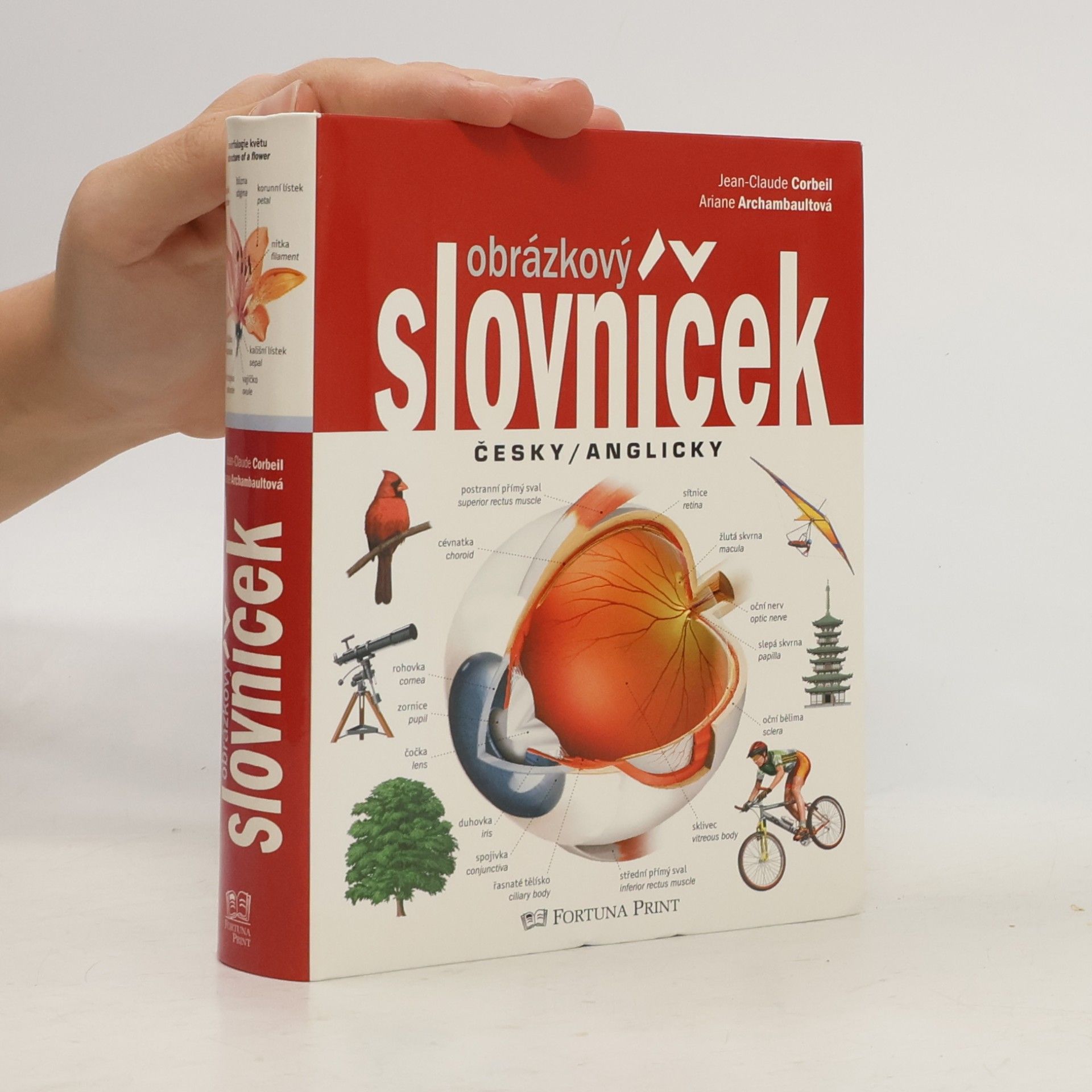 Obrázkový slovníček. Česky/anglicky