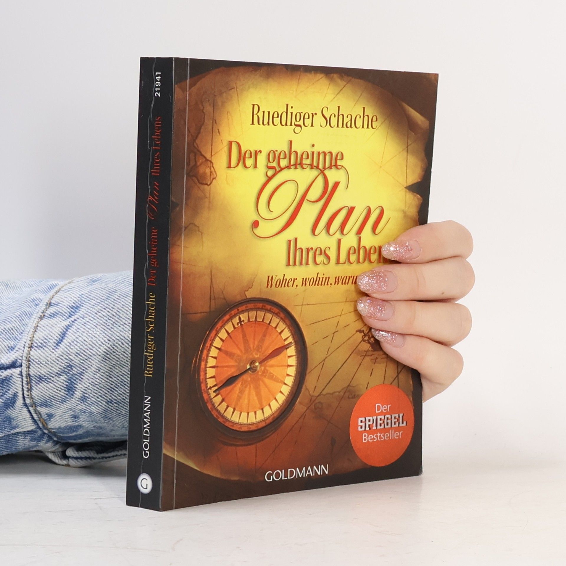 Ruediger Schache Der geheime Plan Ihres Lebens