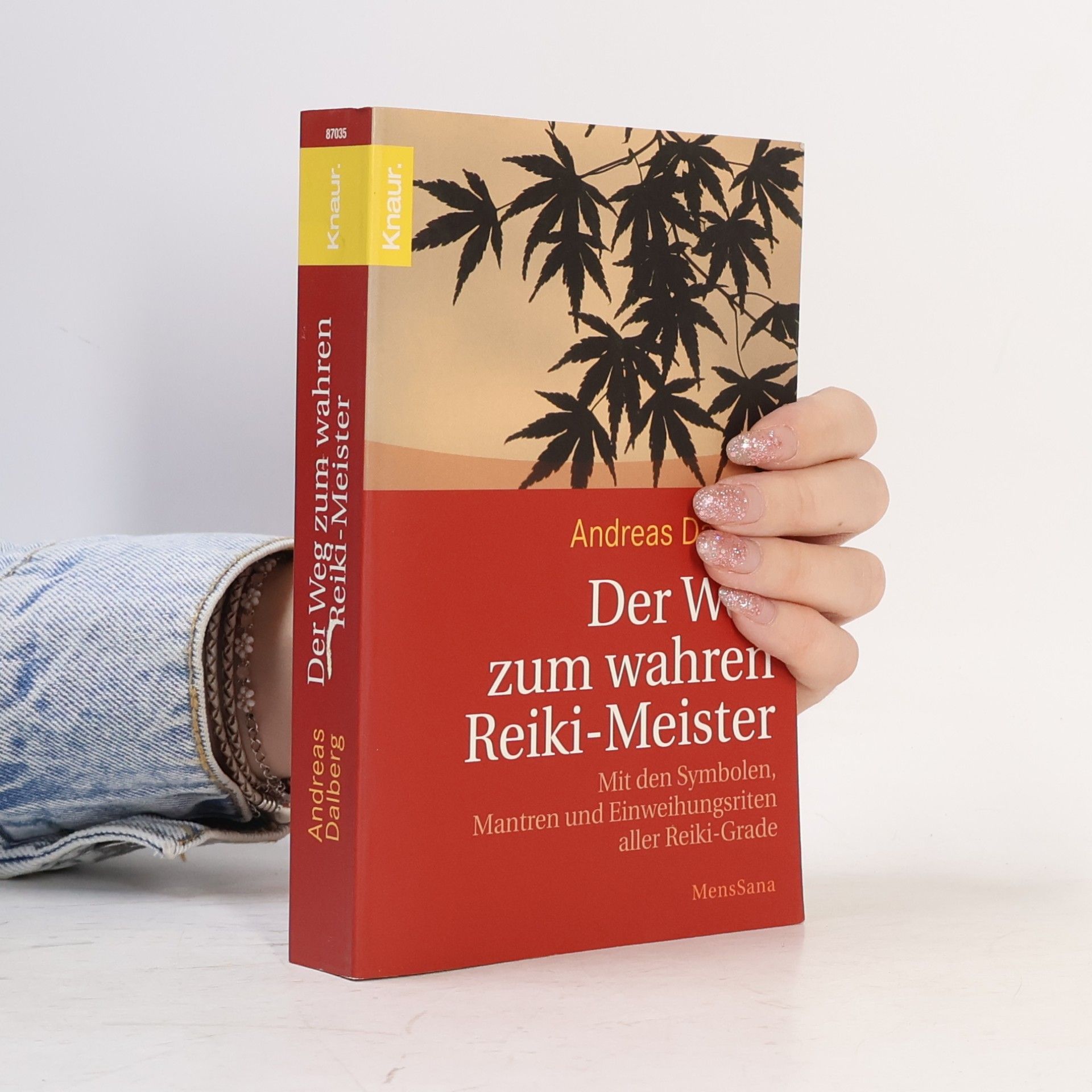 Andreas Dalberg Der Weg zum wahren Reiki-Meister