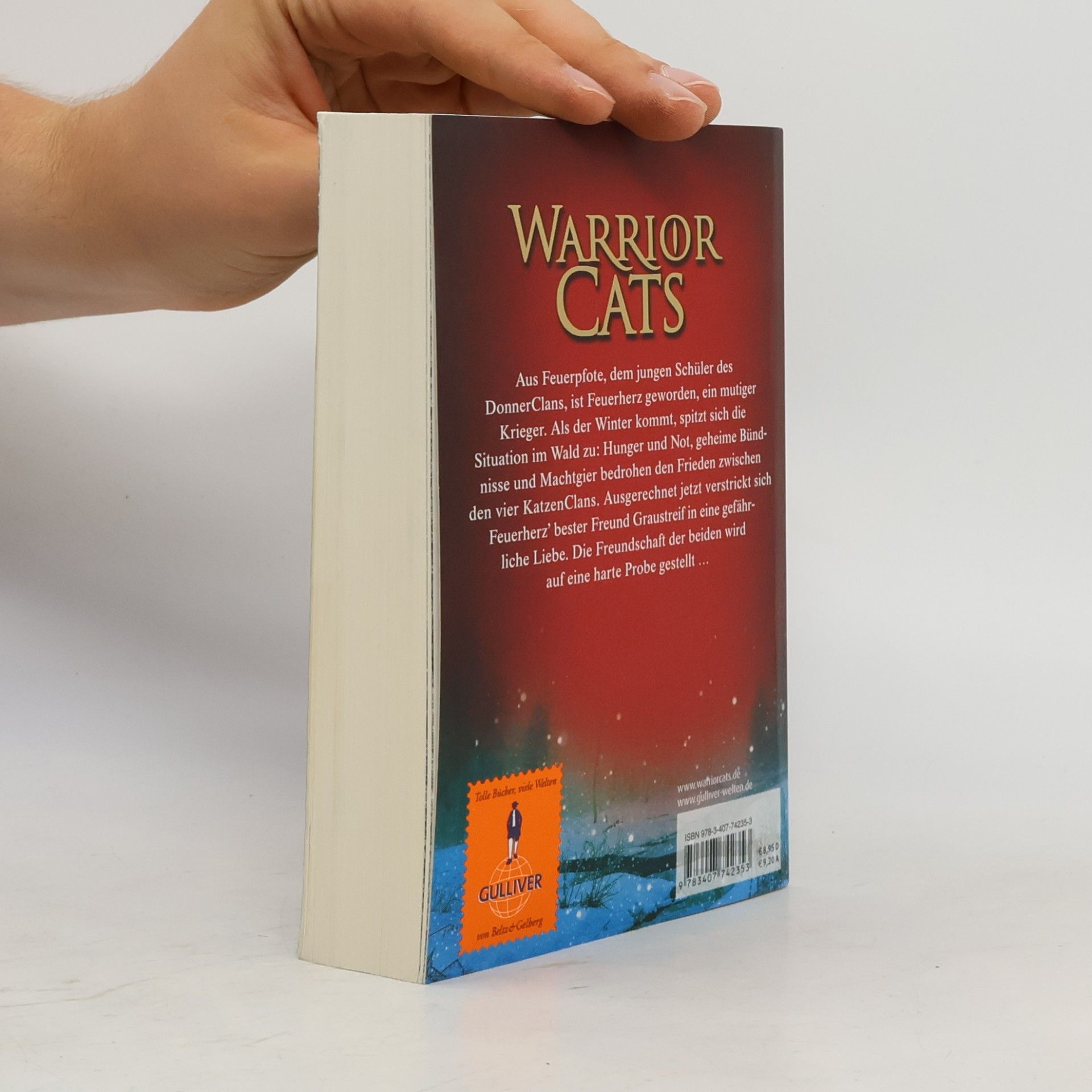 Erin Hunter Warrior Cats. Feuer und Eis