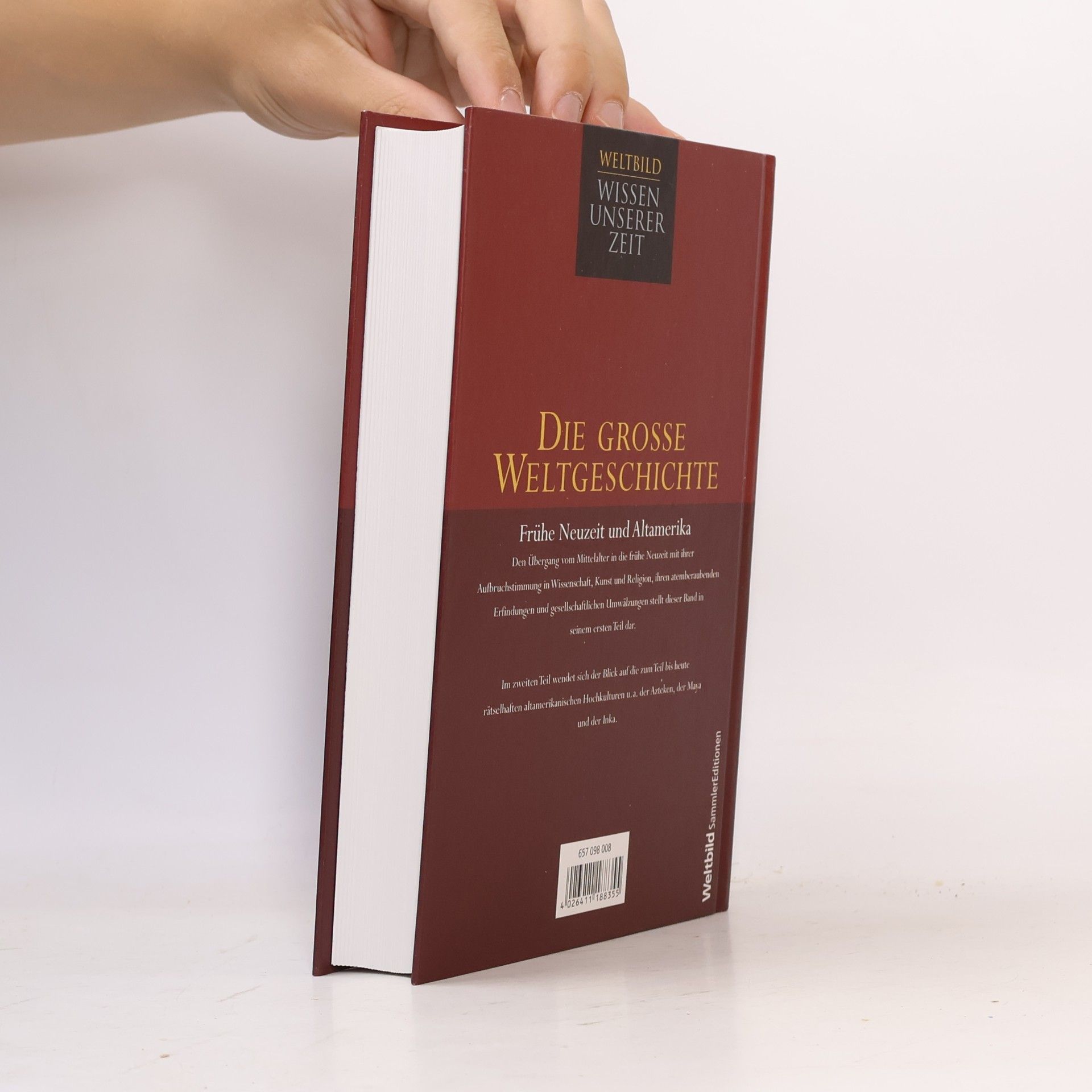 Hildegard Hogen Frühe Neuzeit Und Altamerika