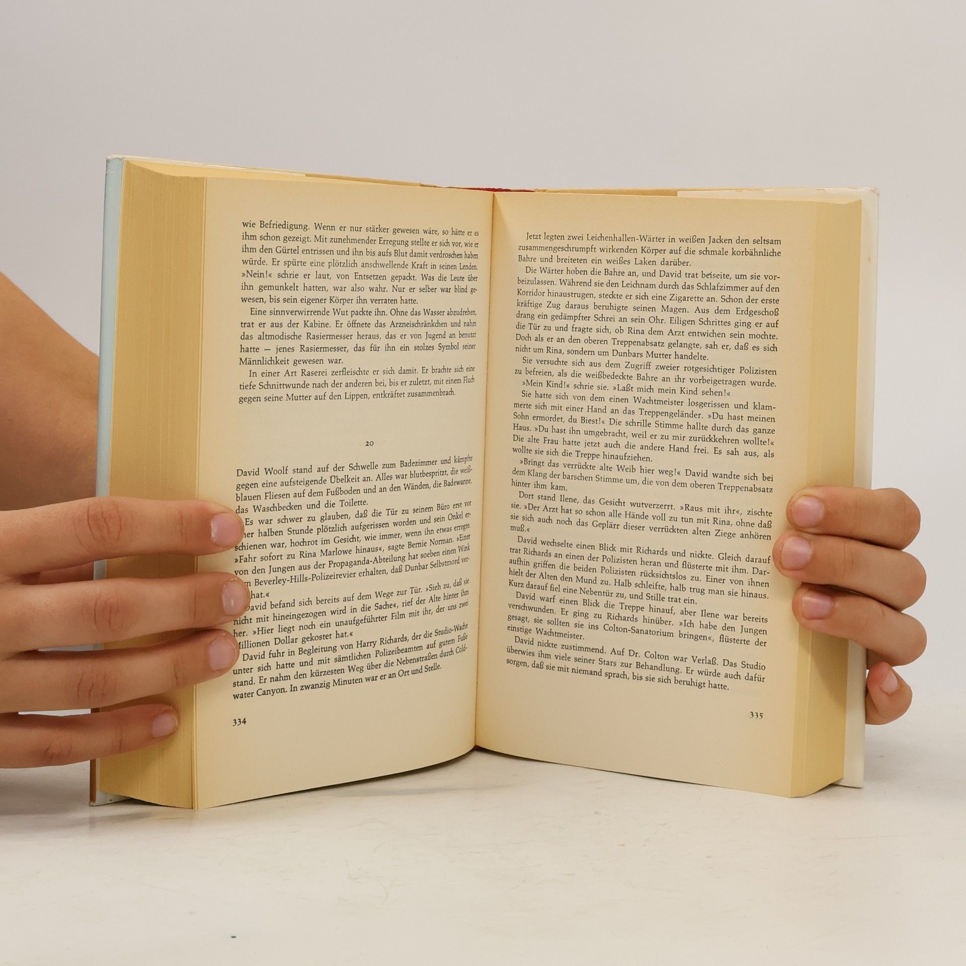Harold Robbins Die Unersättlichen