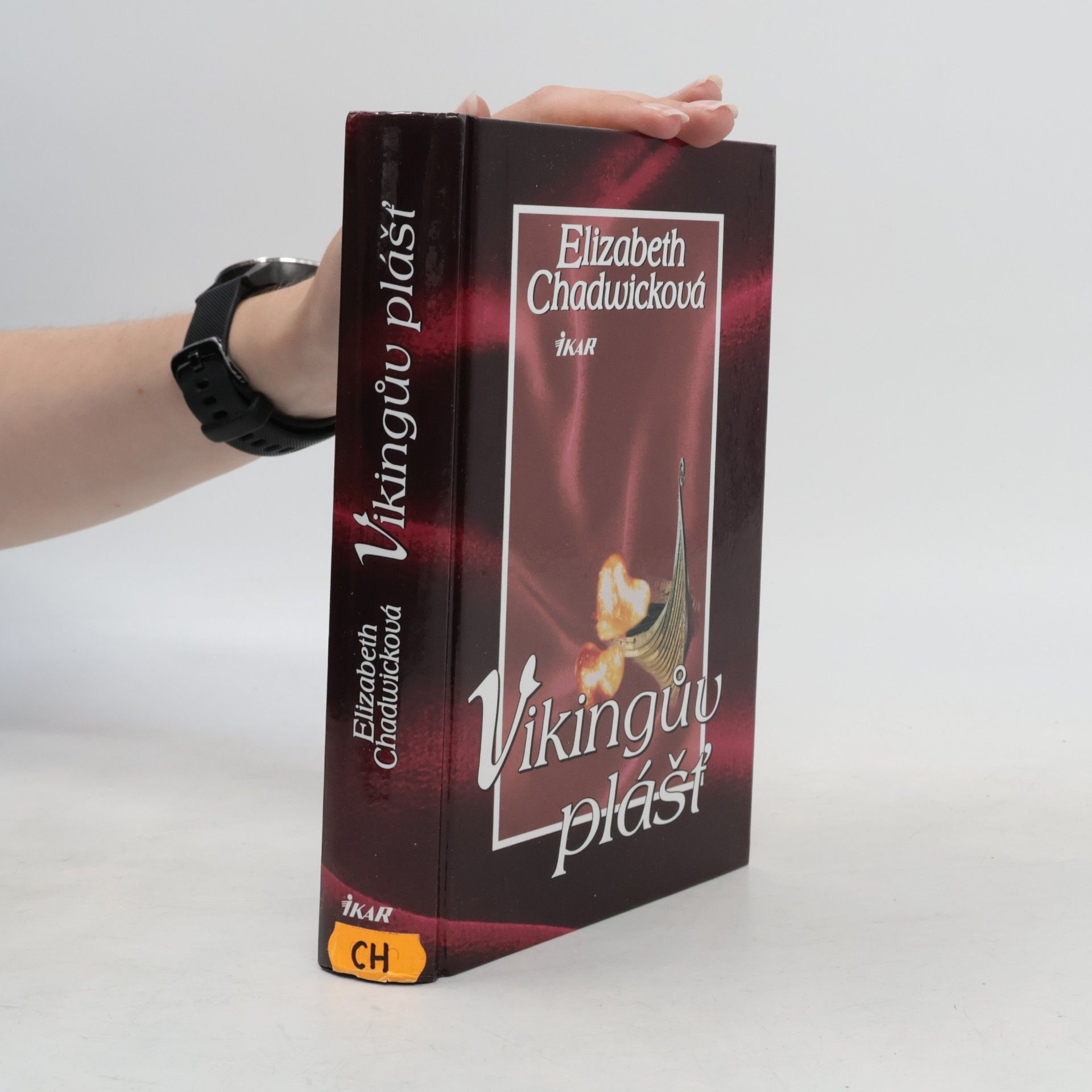 Elizabeth Chadwick Vikingův plášť