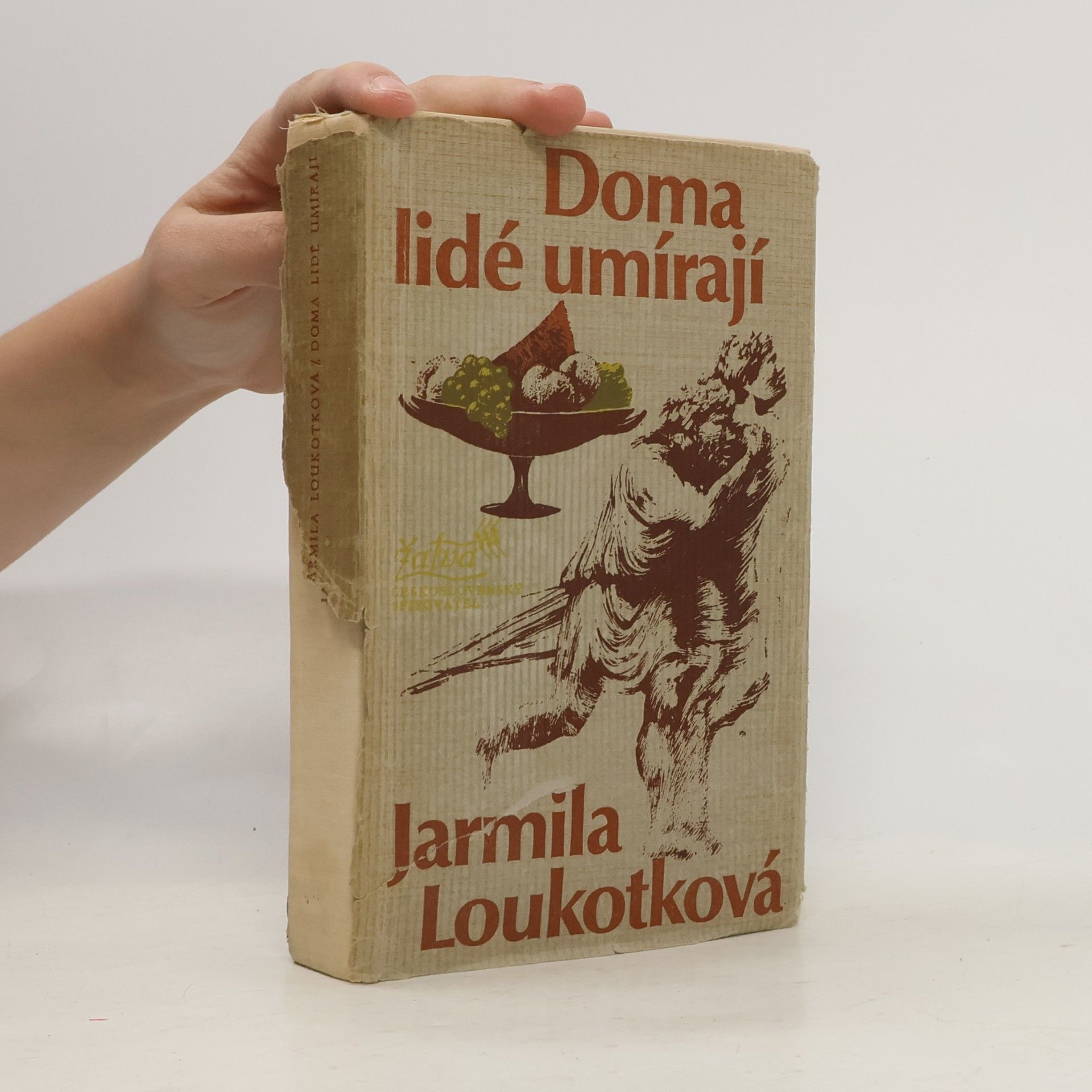 Jarmila Loukotková Doma lidé umírají
