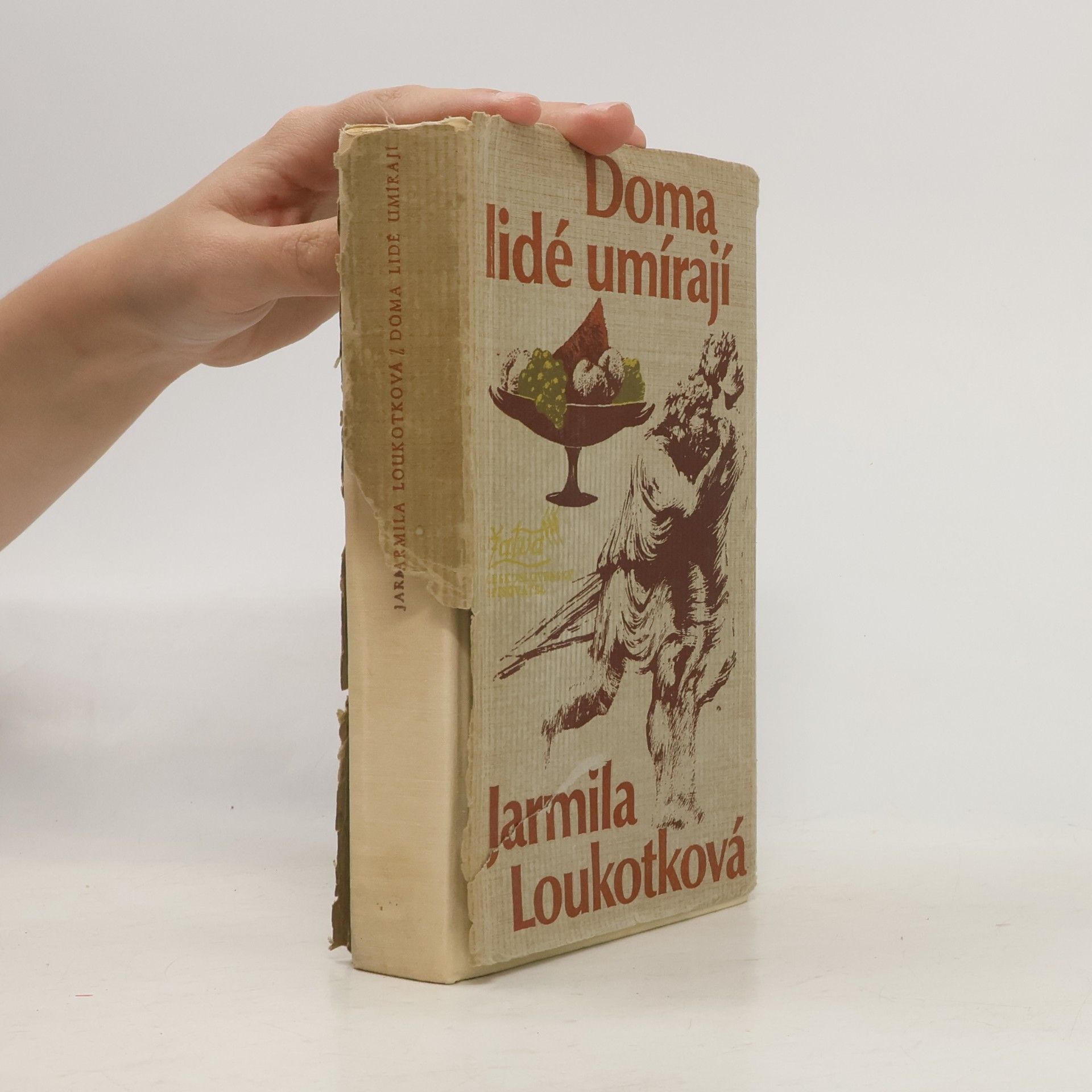 Jarmila Loukotková Doma lidé umírají