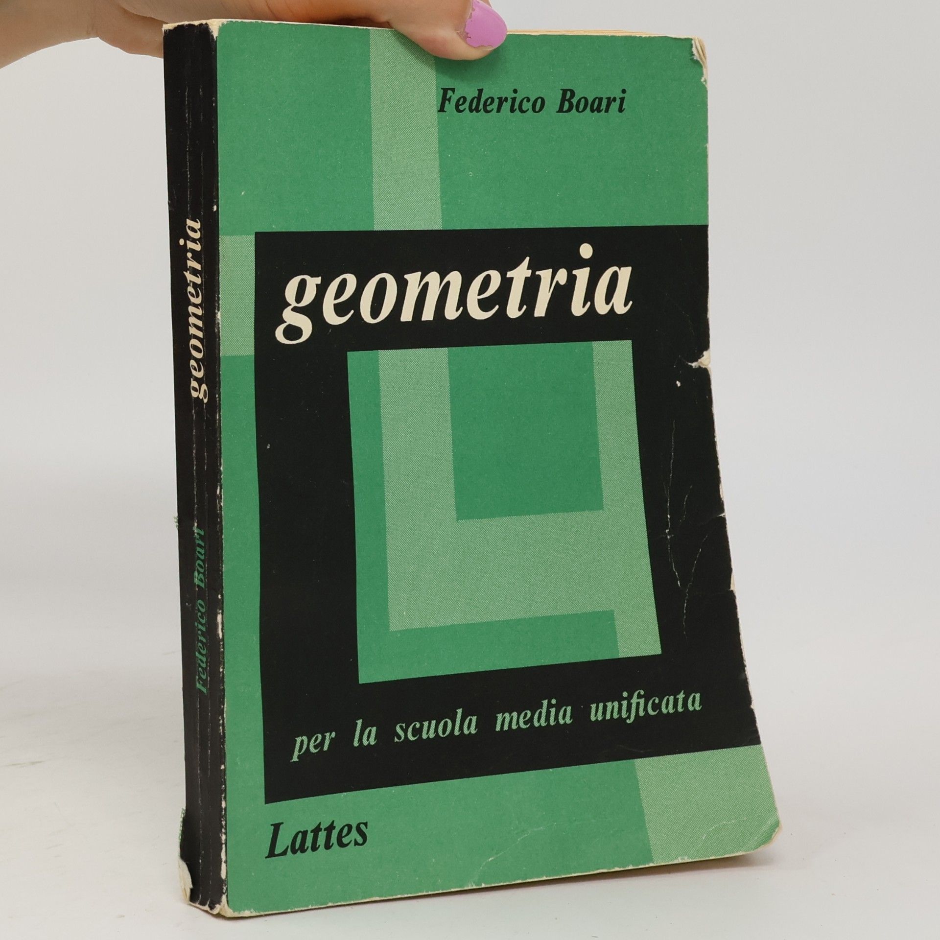Federico Boari Geometria