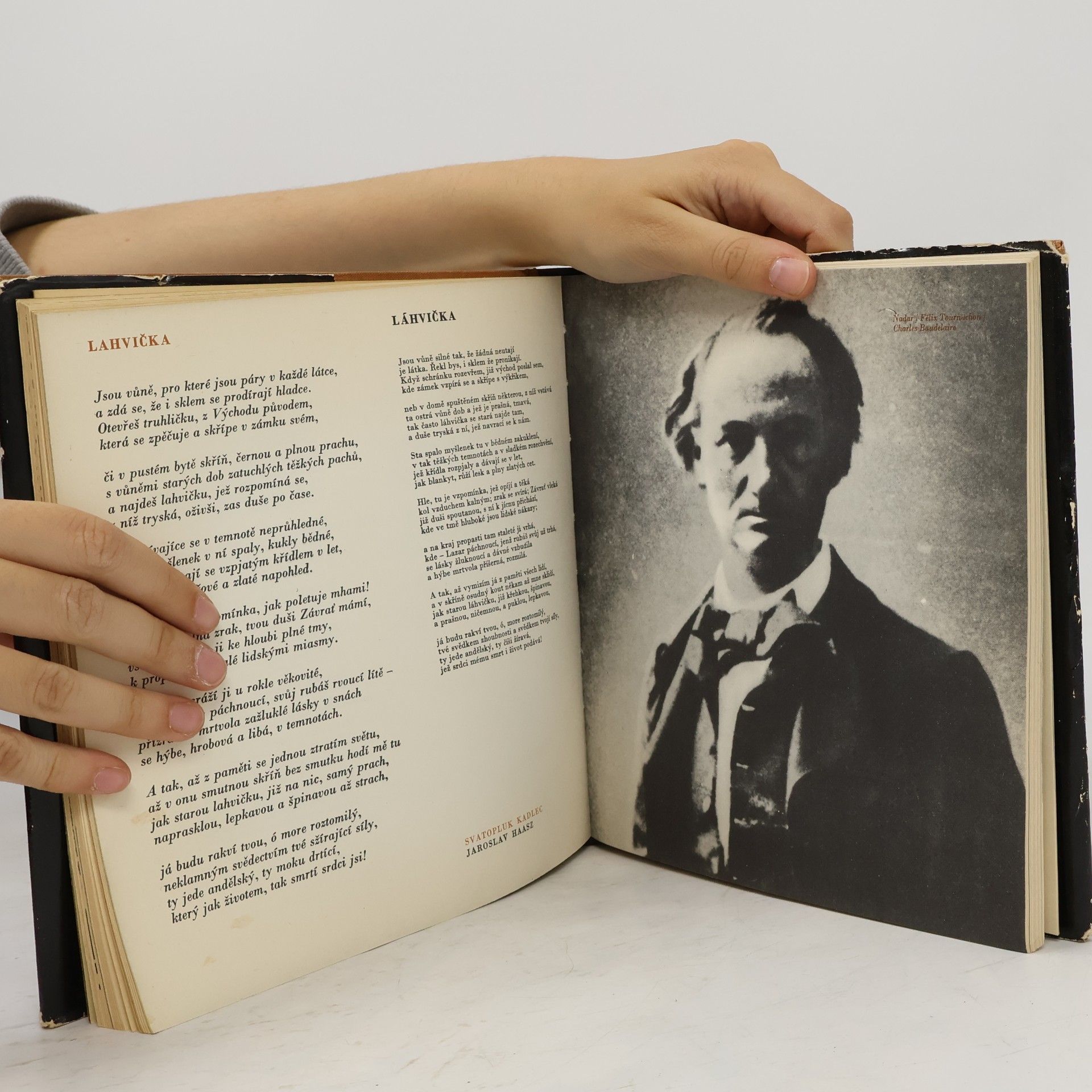 Charles Baudelaire Hořké propasti