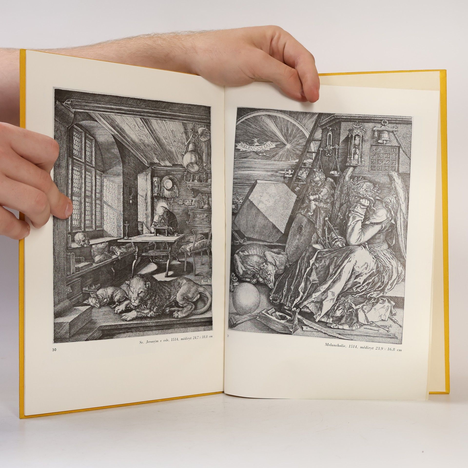 Kolektiv autorů Albrecht Dürer