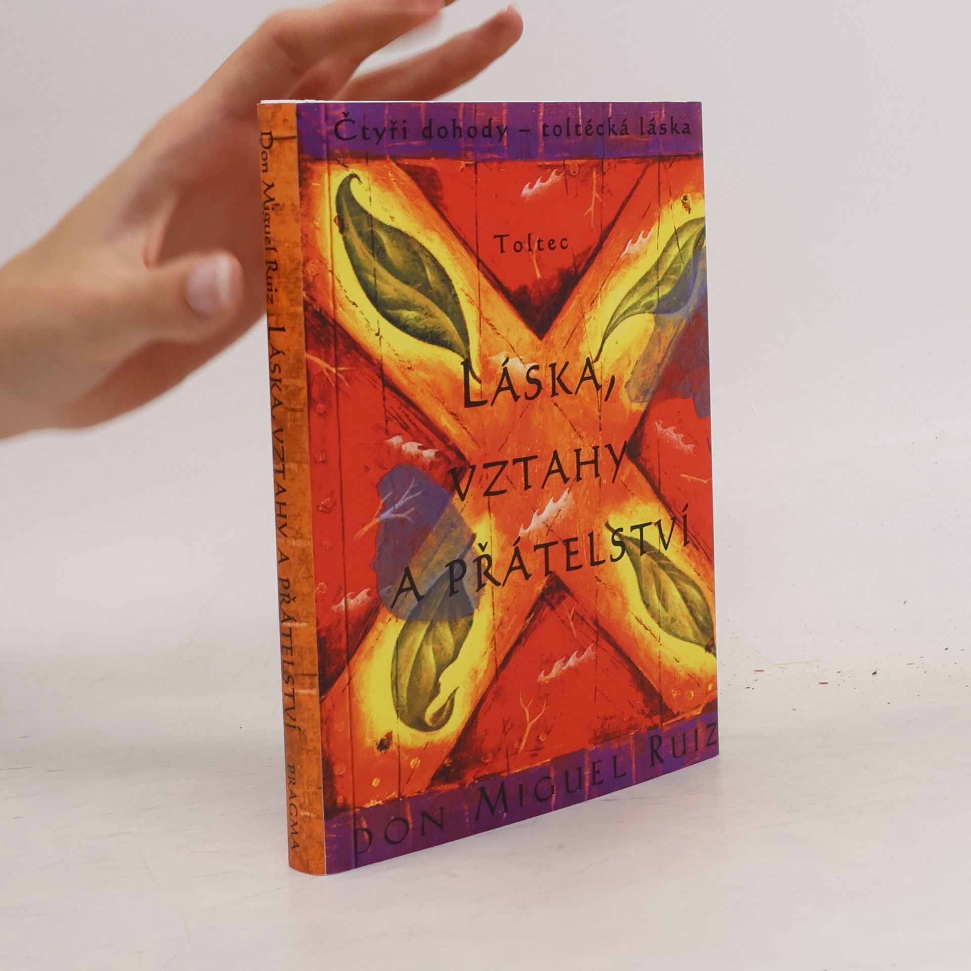 Don Miguel Ruiz Láska, vztahy a přátelství