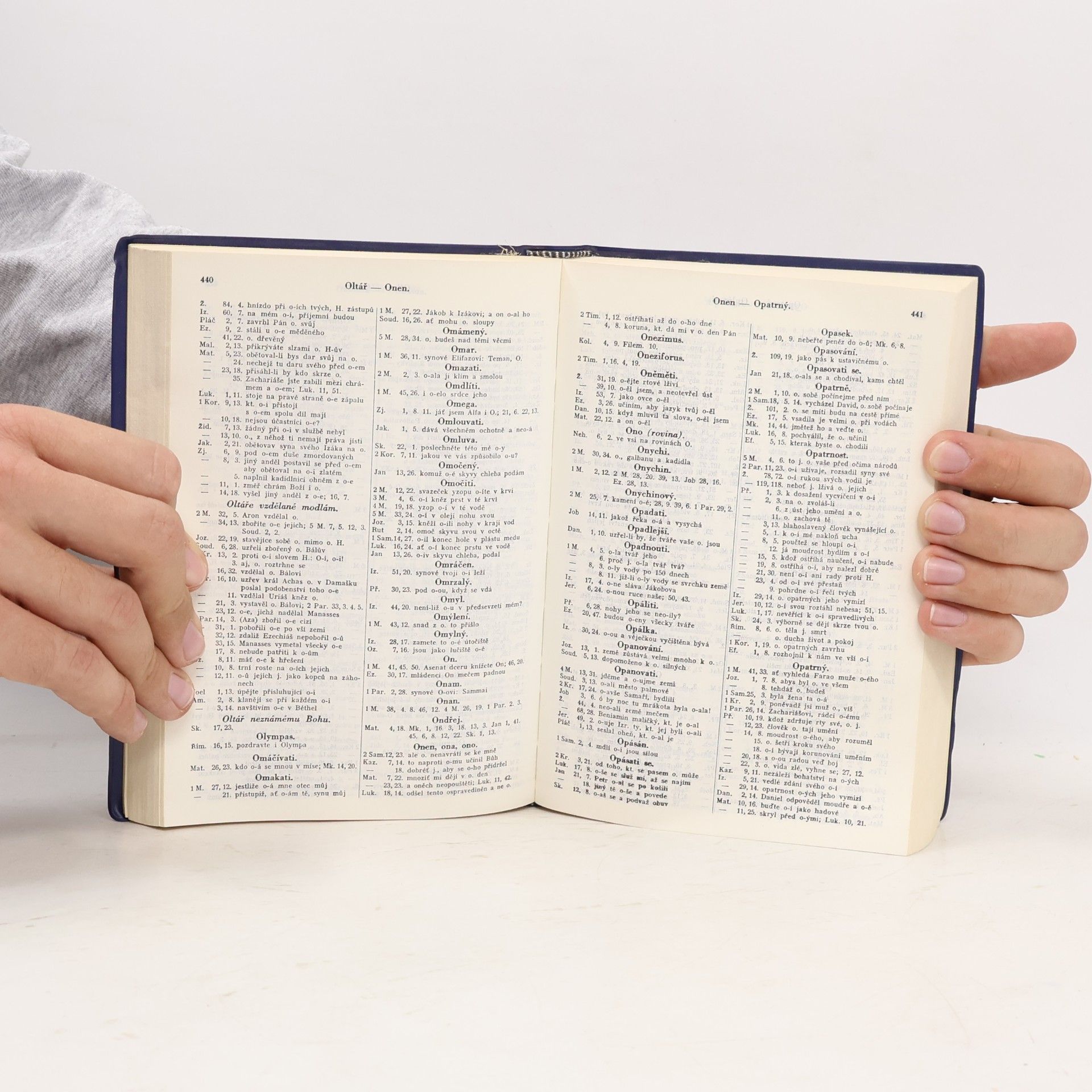 Kolektiv autorů Biblická konkordance
