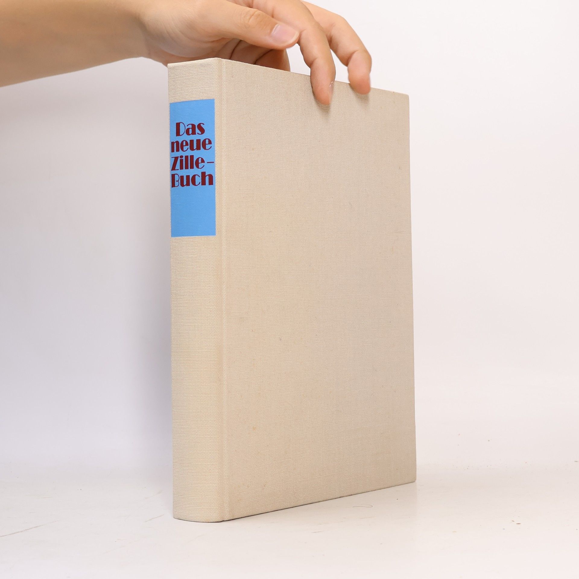 kolektiv Das neue zillebuch