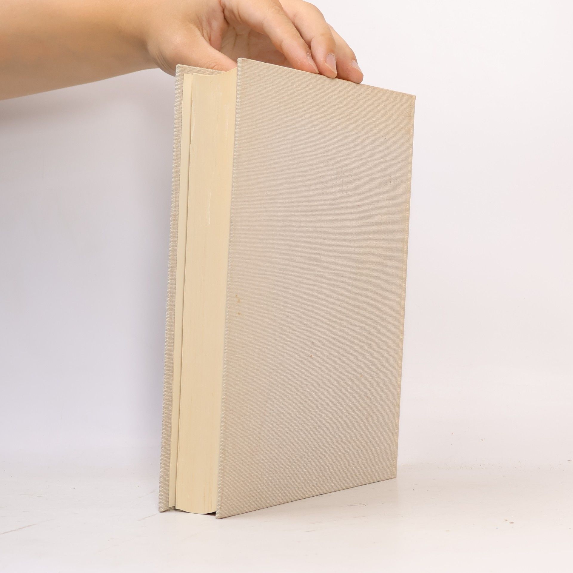 kolektiv Das neue zillebuch