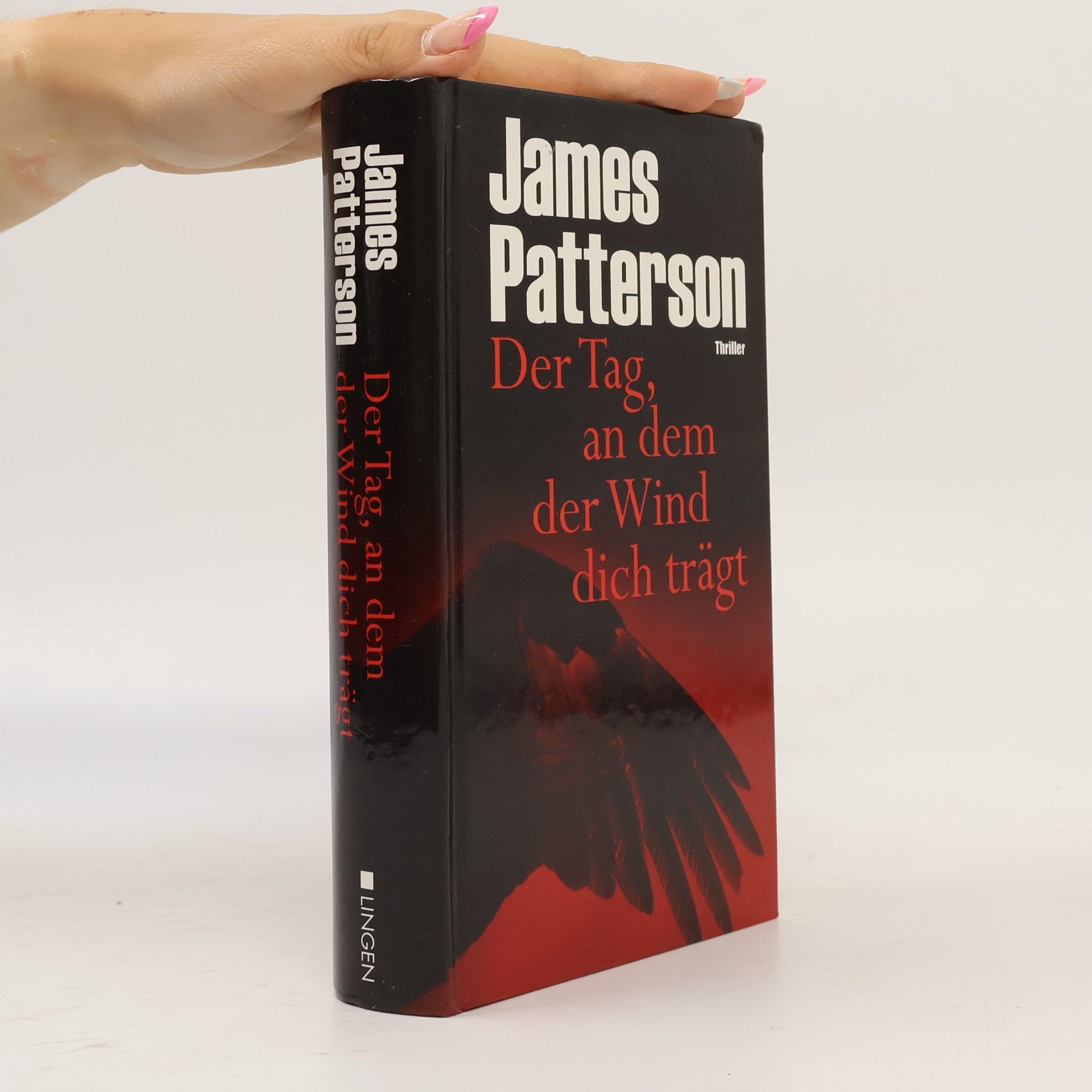 James Patterson Der Tag, an dem der Wind dich trägt