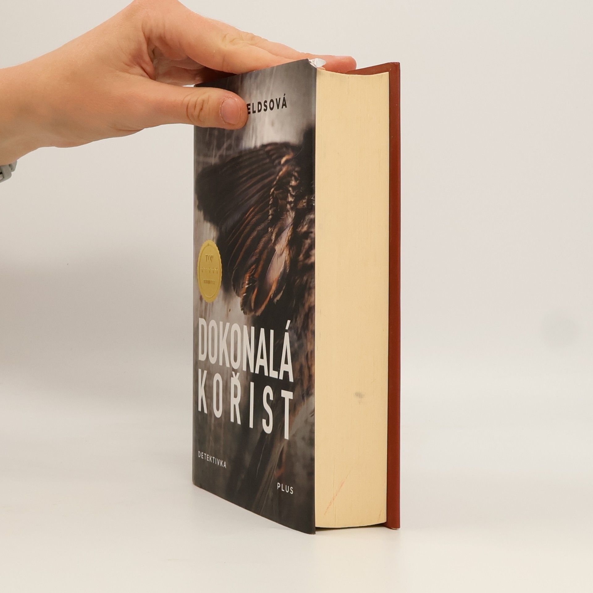 Helen Fields Dokonalá kořist