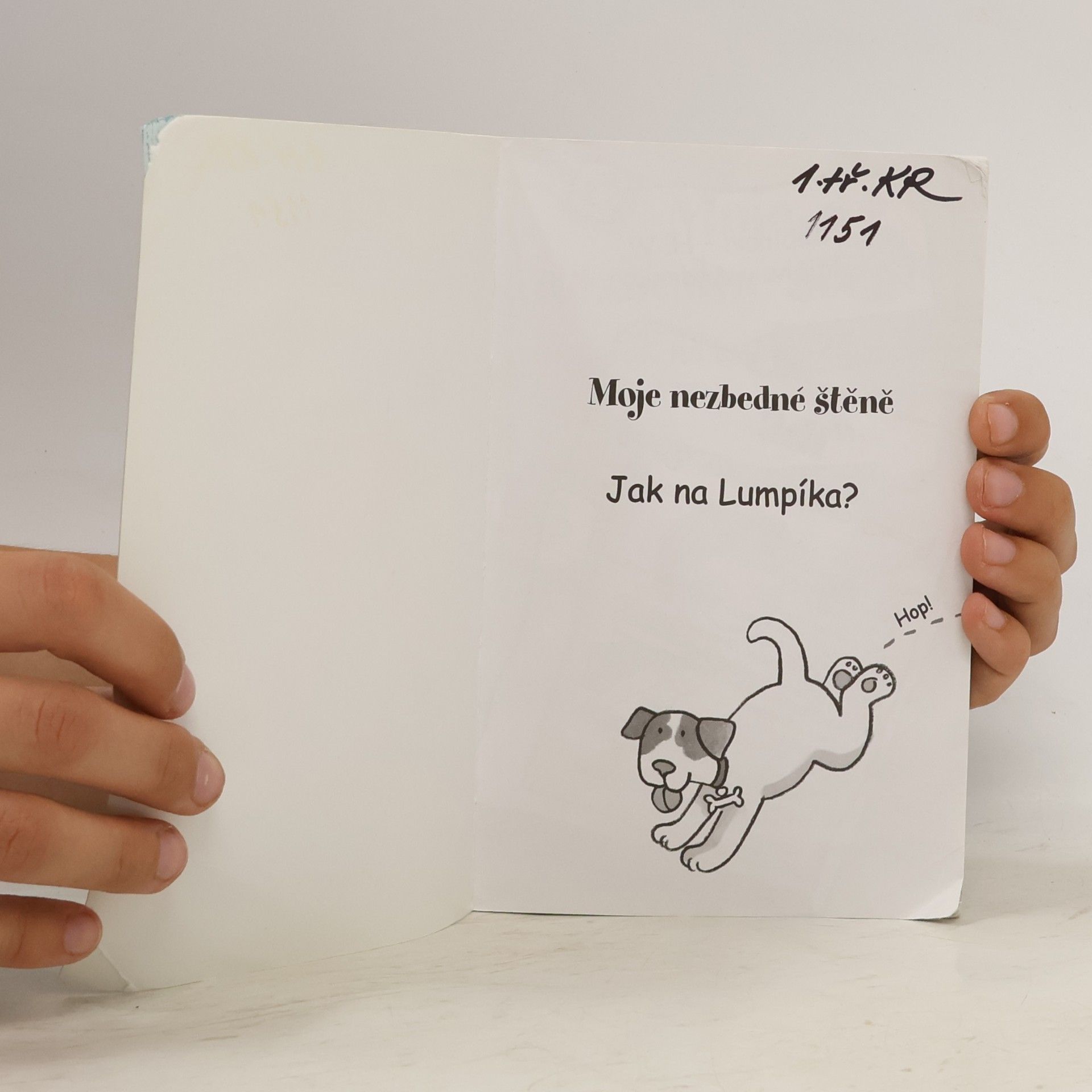 Holly Webbová Moje nezbedné štěně. Jak na Lumpíka?