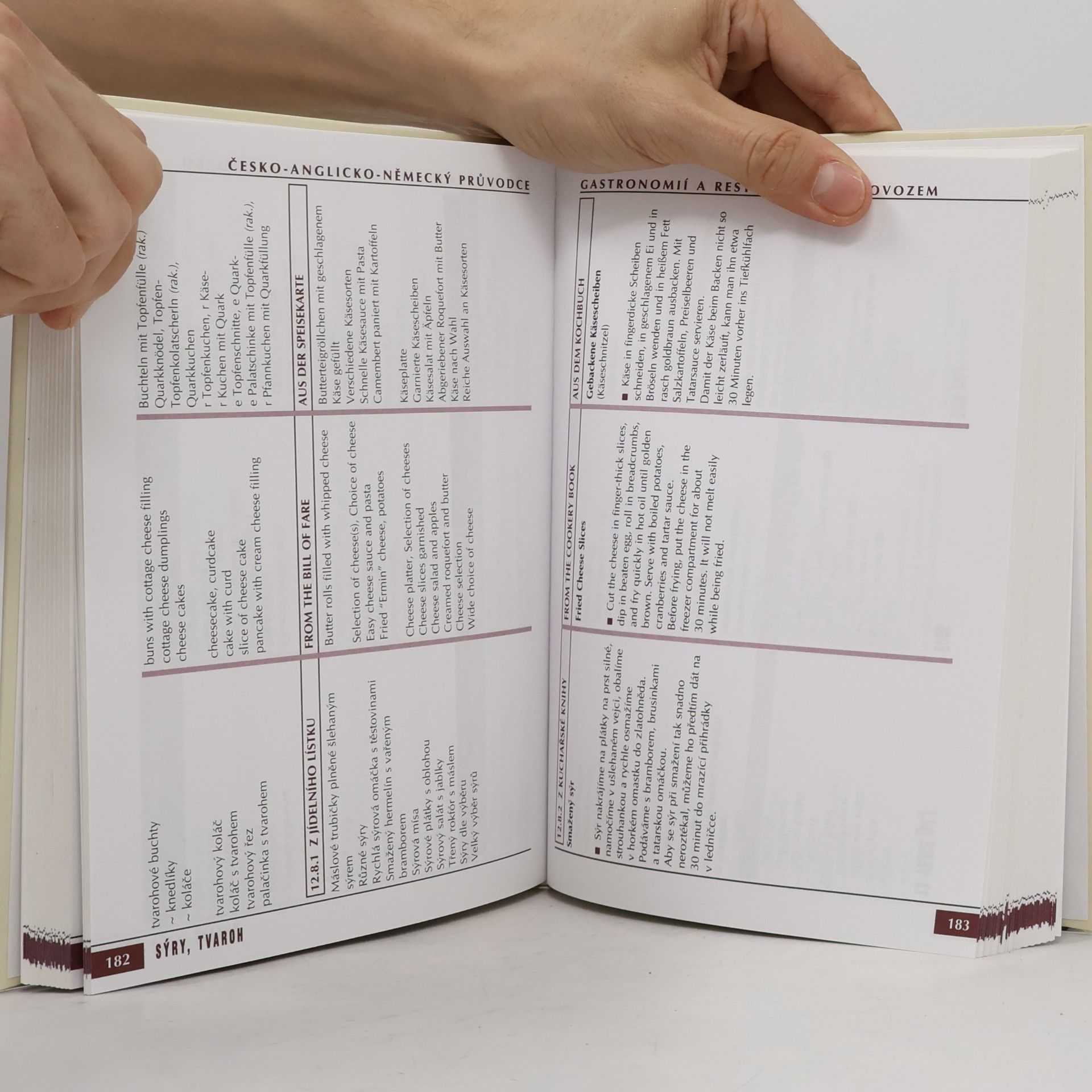 Mirko Křivánek Česko-anglicko-německý průvodce gastronomií a restauračním provozem