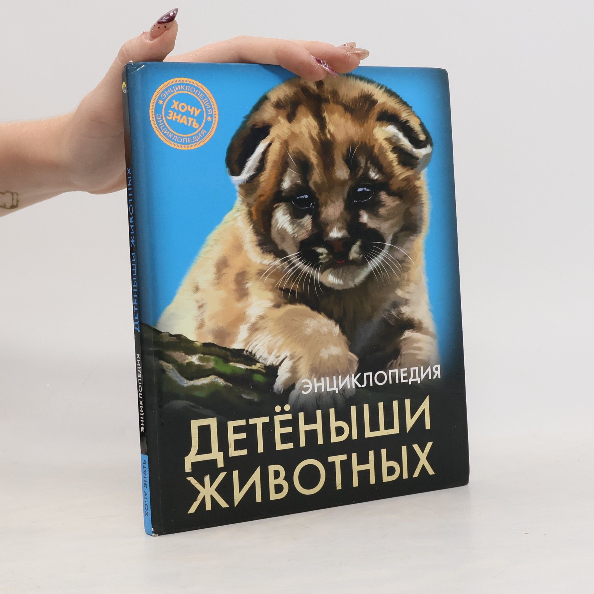 Алексей Еремеев Детёныши животных