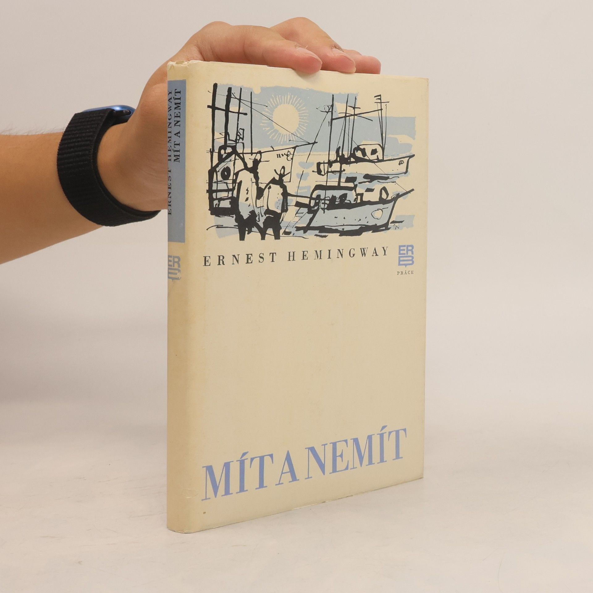 Ernest Hemingway Mít a nemít