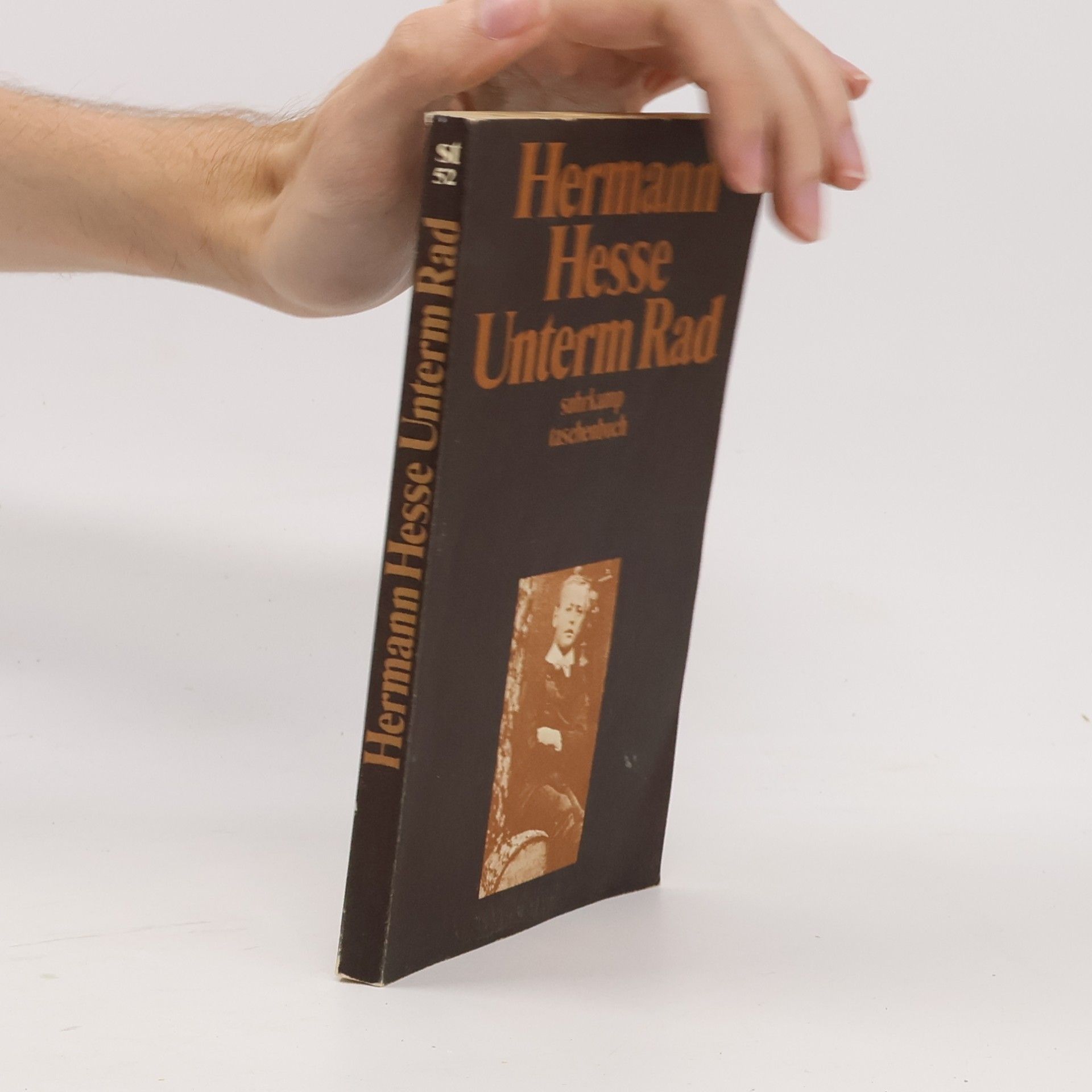 Hermann Hesse Unterm Rad