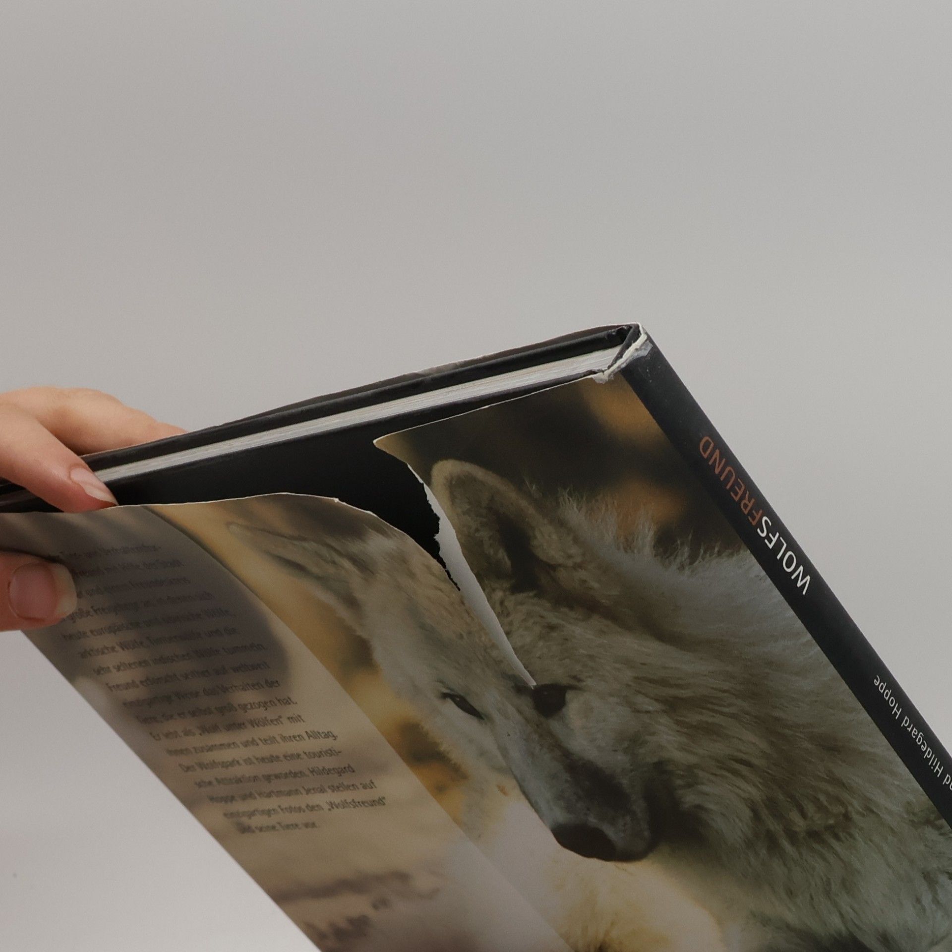 Hartmann Jenal Wolfs-Freund