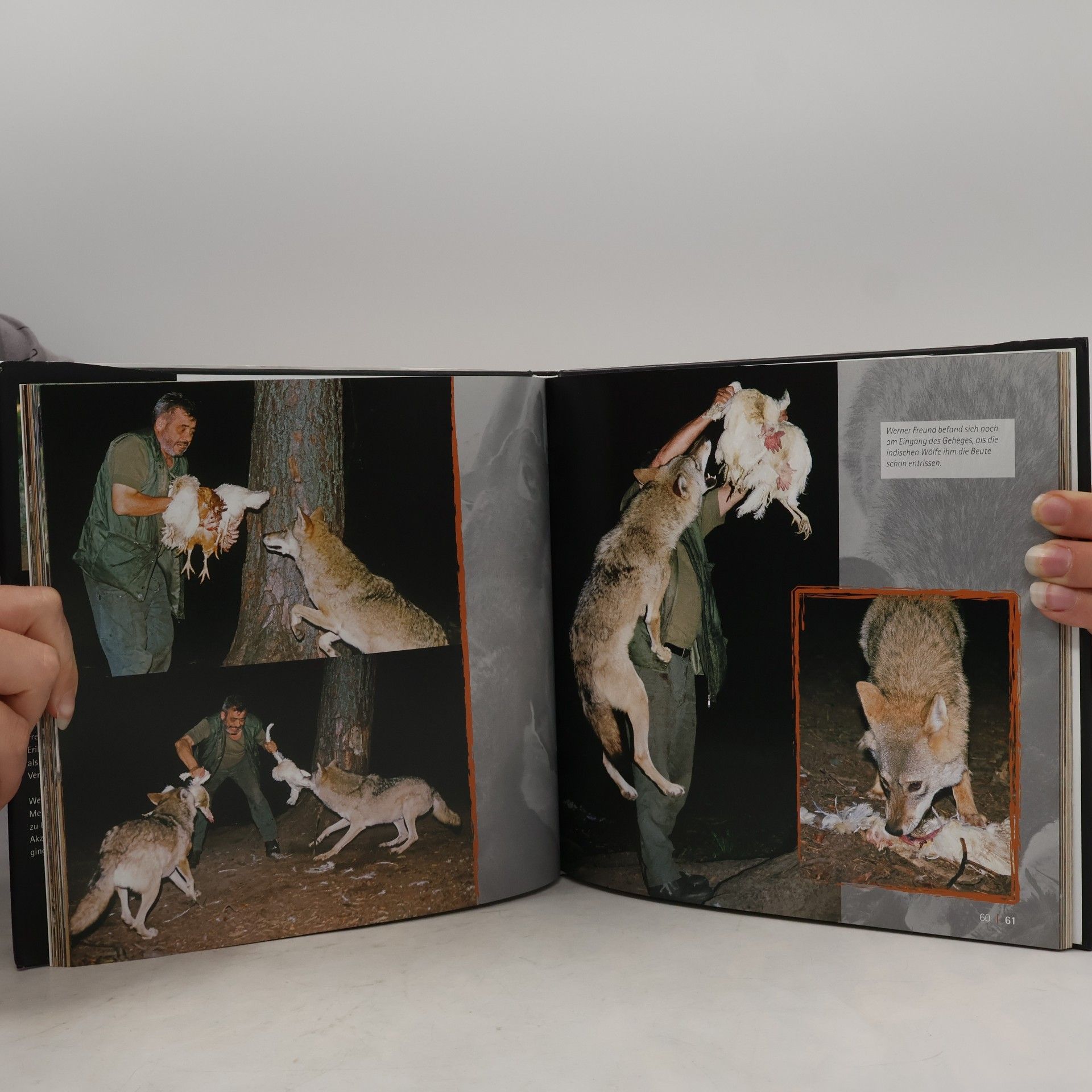Hartmann Jenal Wolfs-Freund