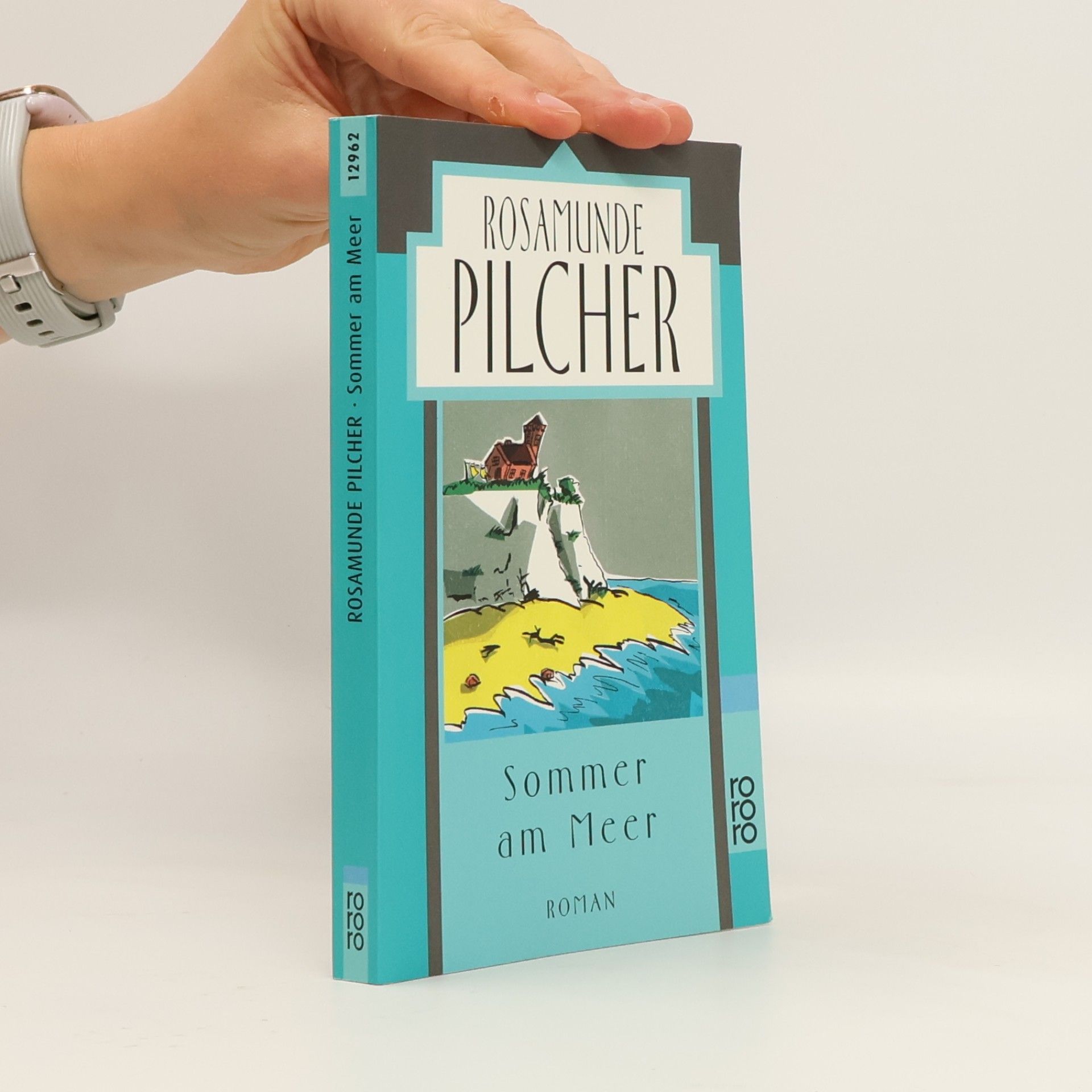 Rosamunde Pilcher Sommer am Meer