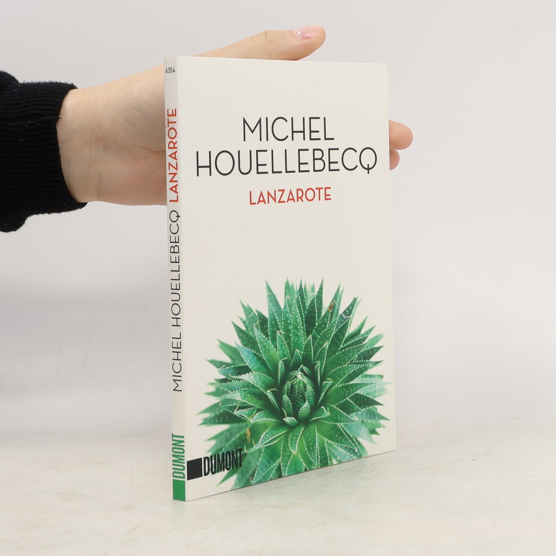 Michel Houellebecq Lanzarote