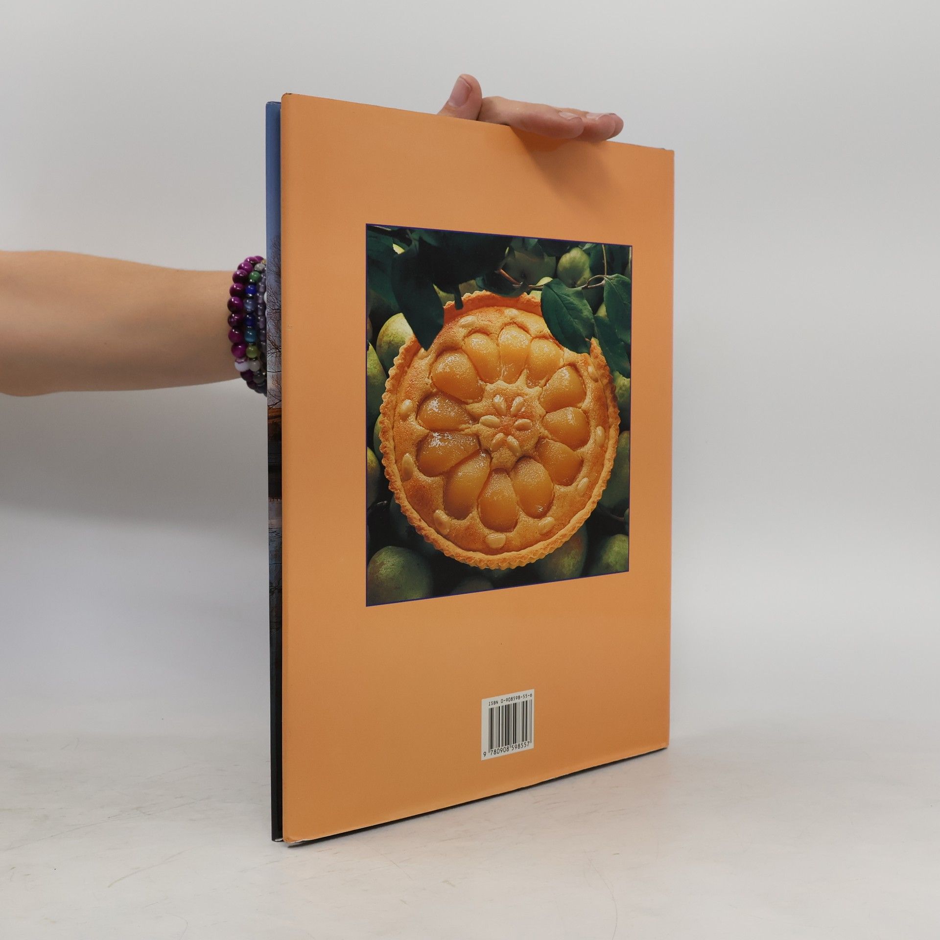 Elsa Haydon New Zealand Pictorial Cookbook