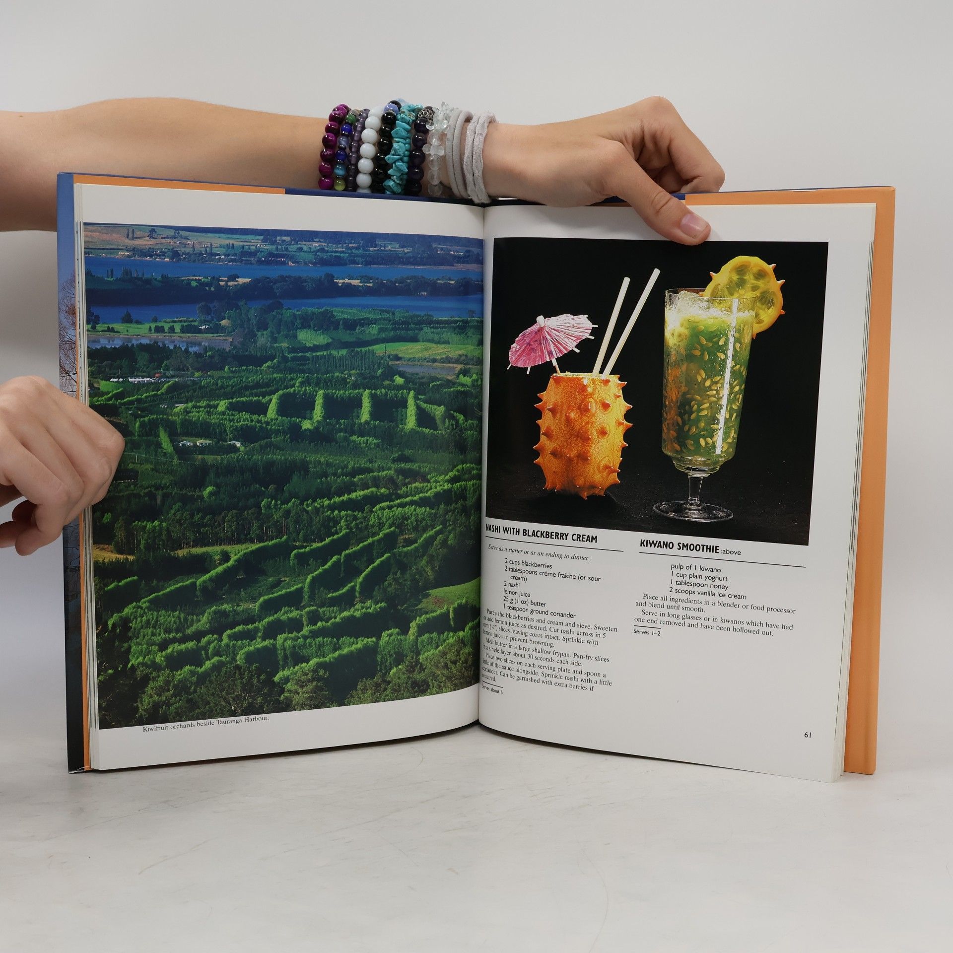 Elsa Haydon New Zealand Pictorial Cookbook