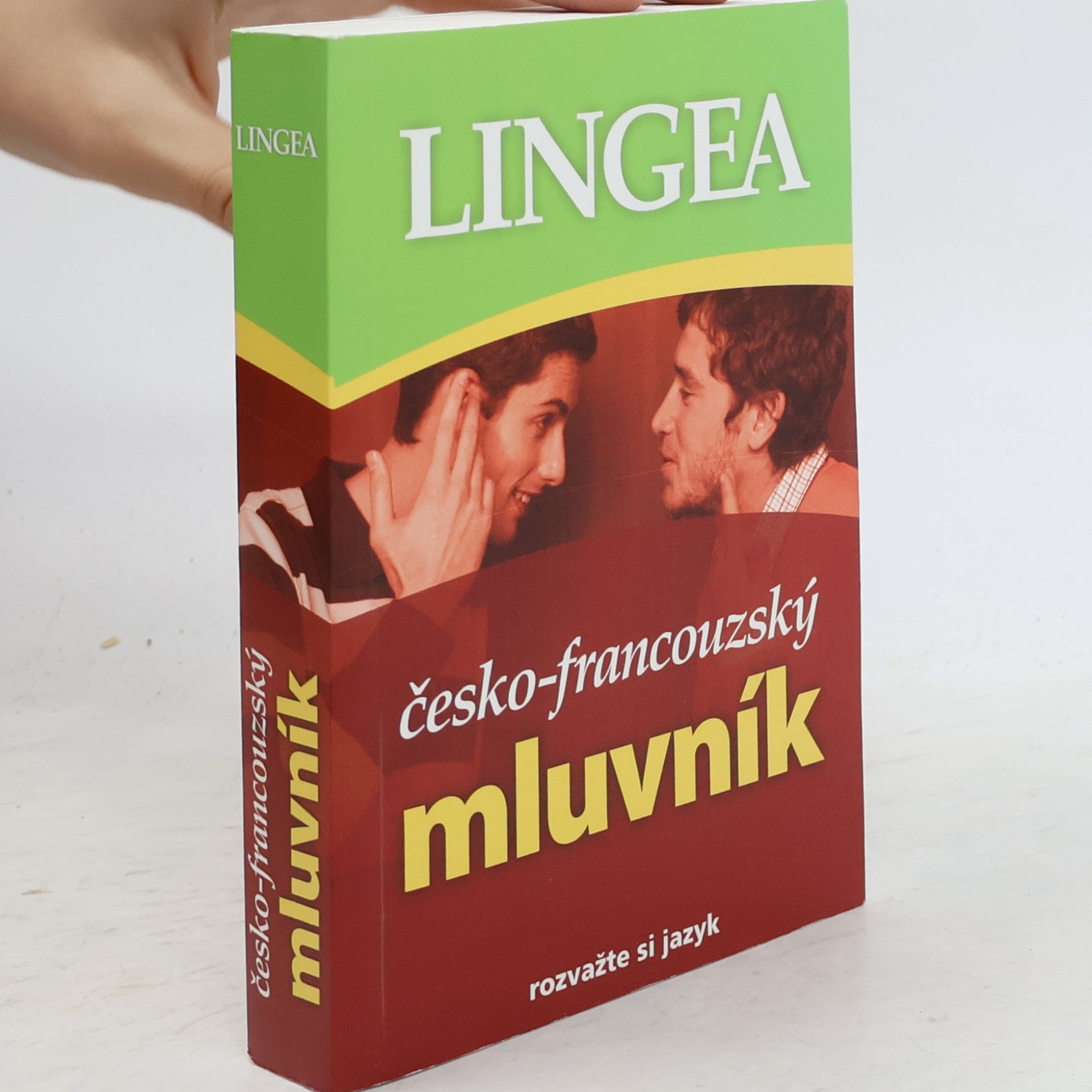 Kolektiv autorů Česko-francouzský mluvník