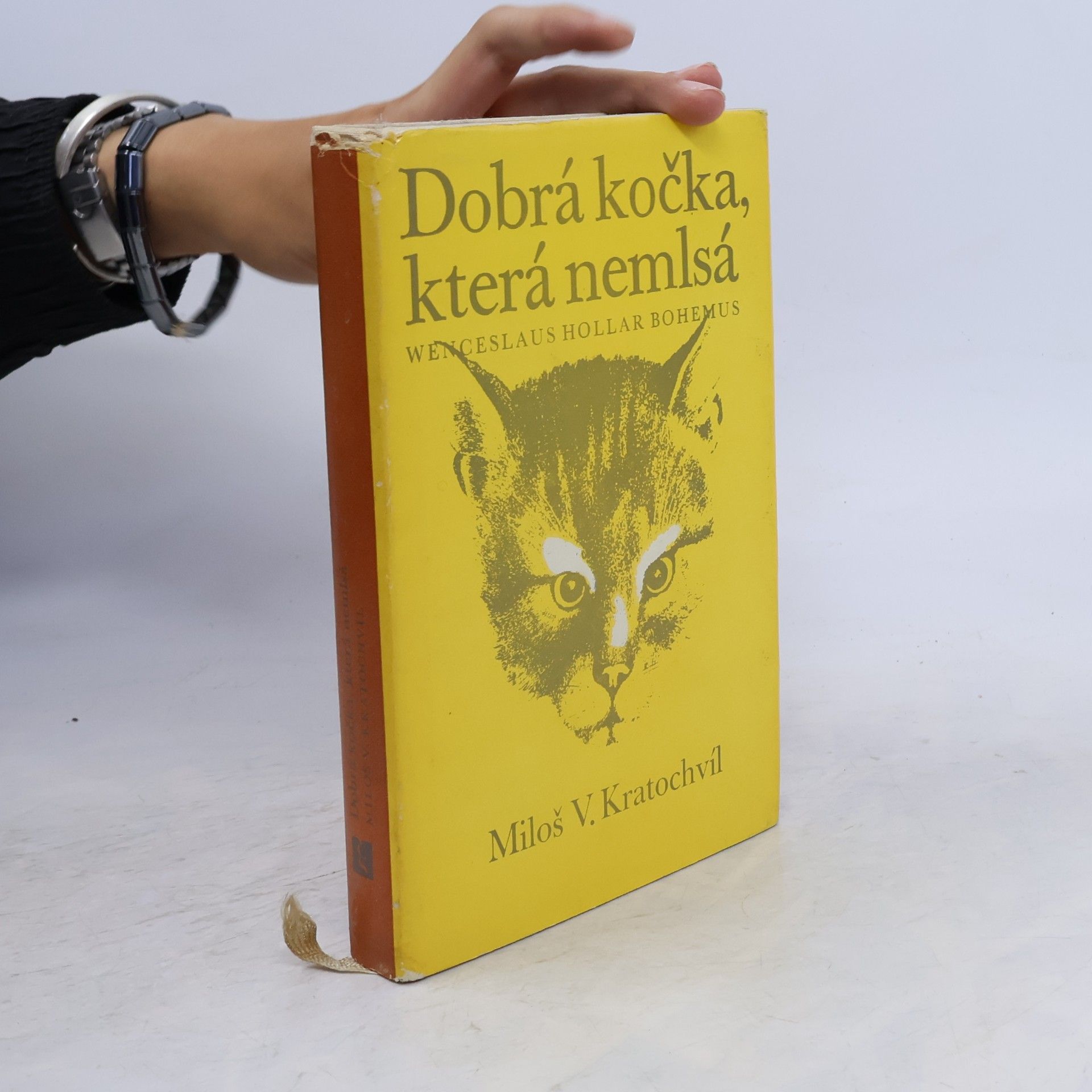 Miloš Kratochvíl Dobrá kočka, která nemlsá