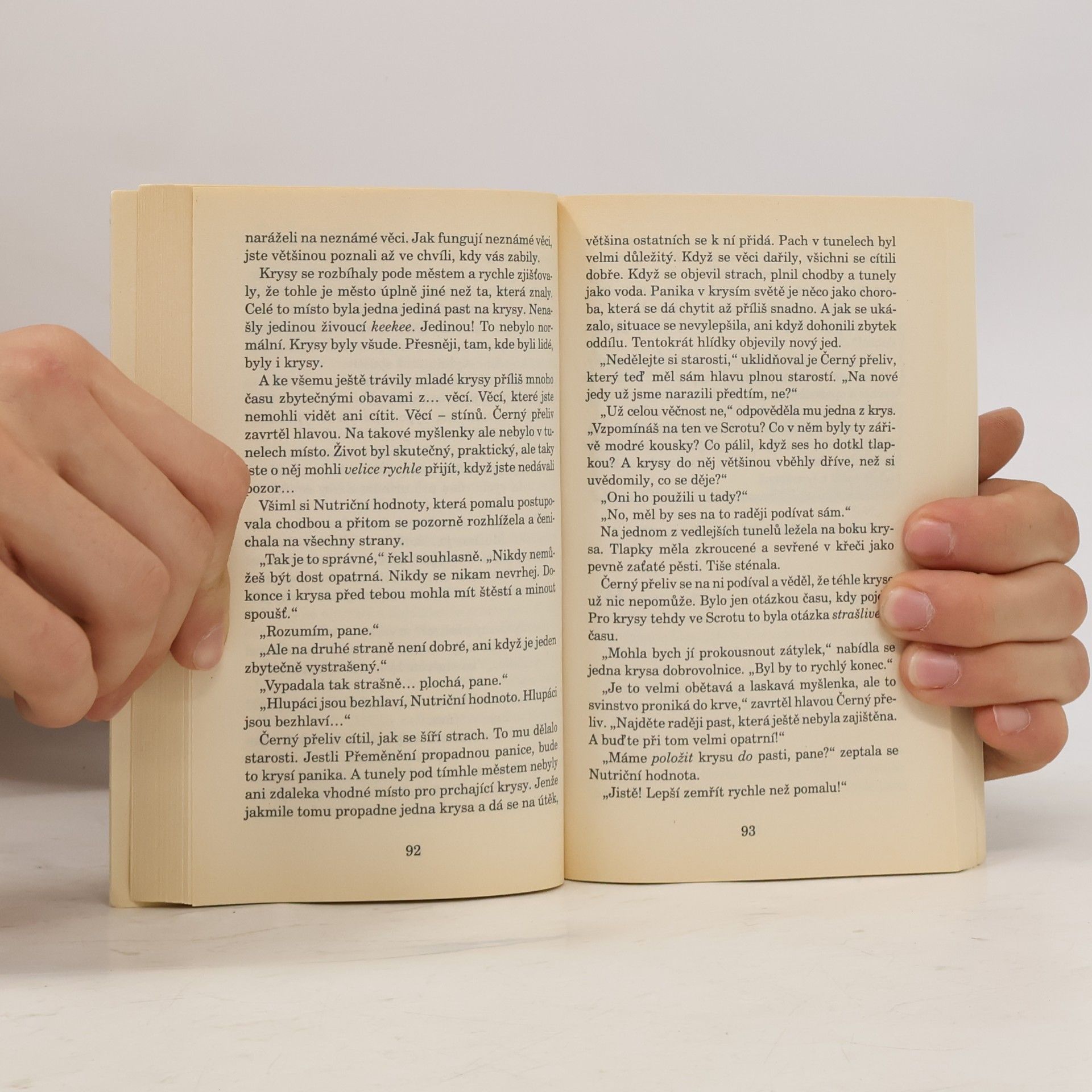 Terry Pratchett Úžasný Mauric a jeho vzdělaní hlodavci