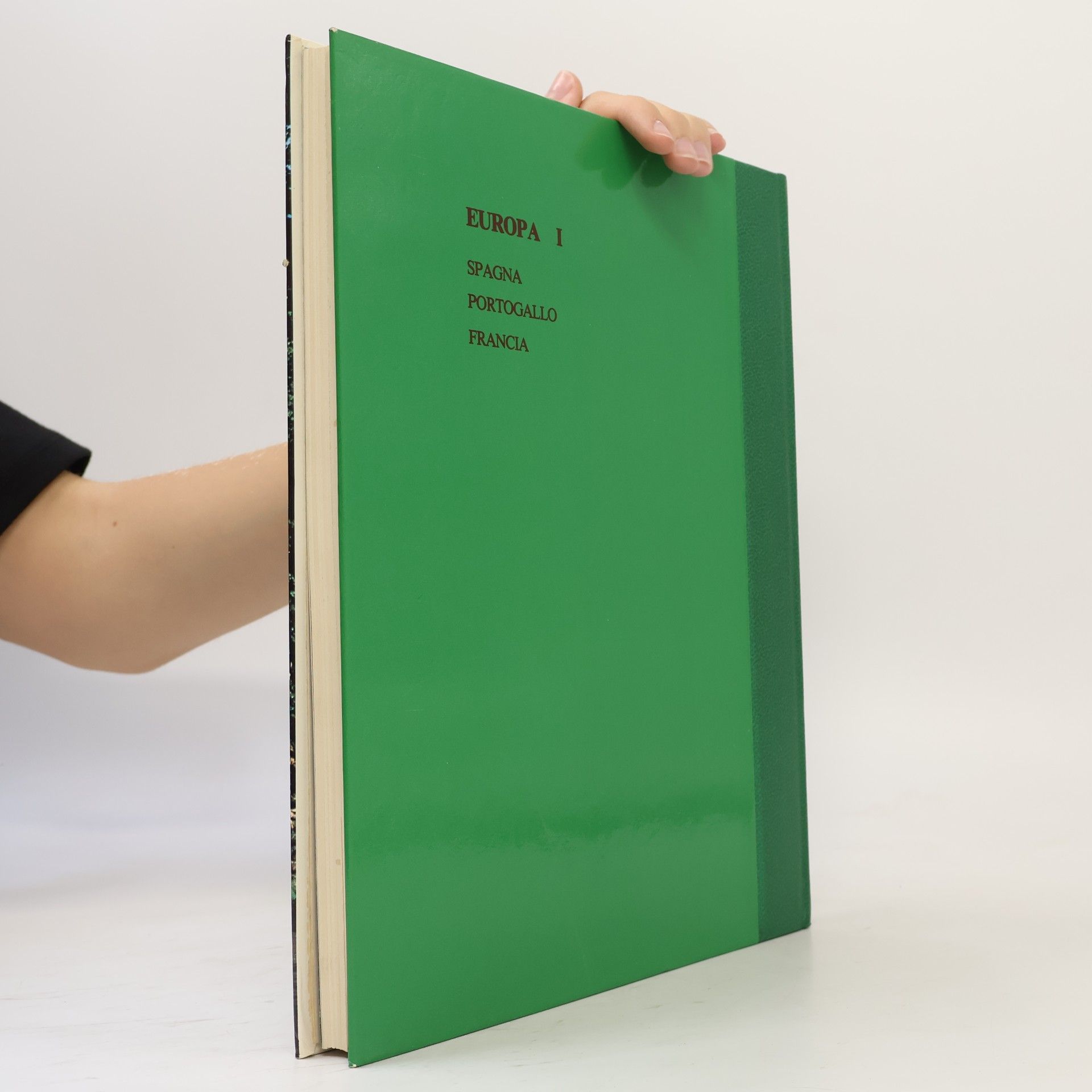 Autores varios Bellezze del mondo