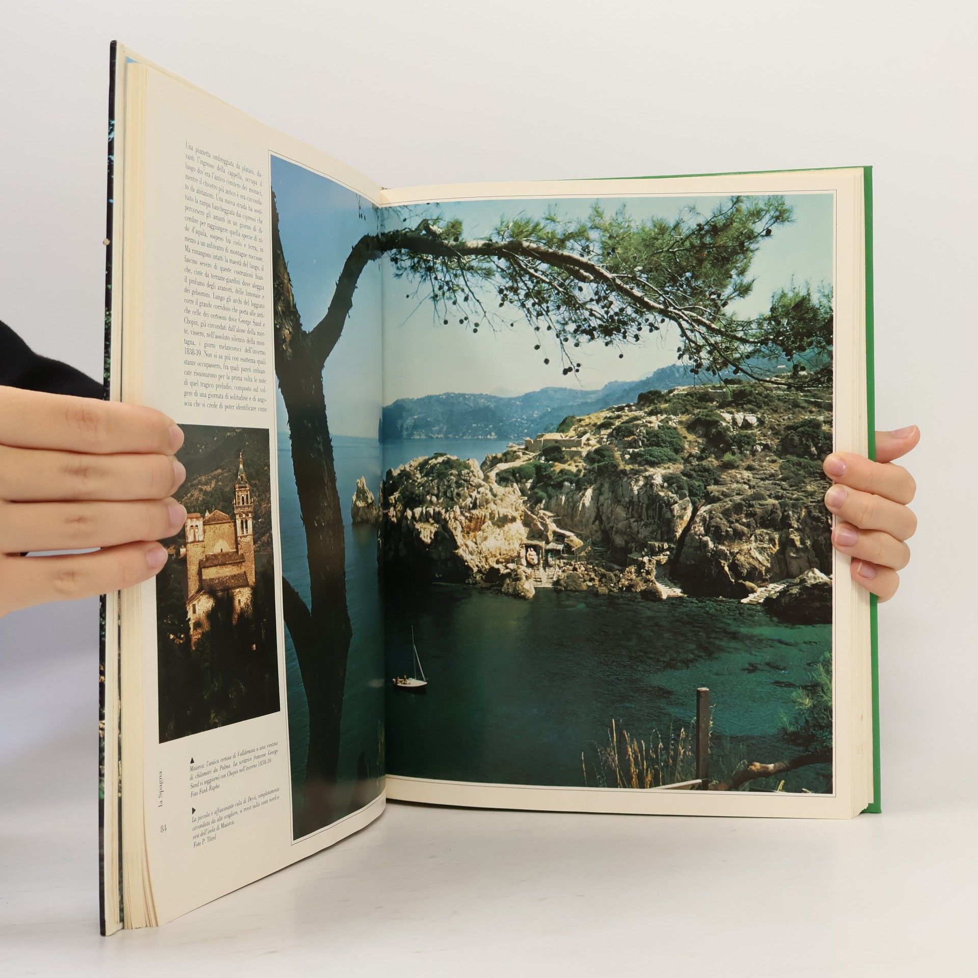 Autores varios Bellezze del mondo