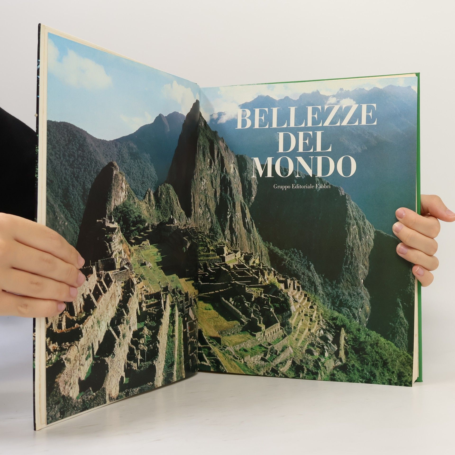 Autores varios Bellezze del mondo