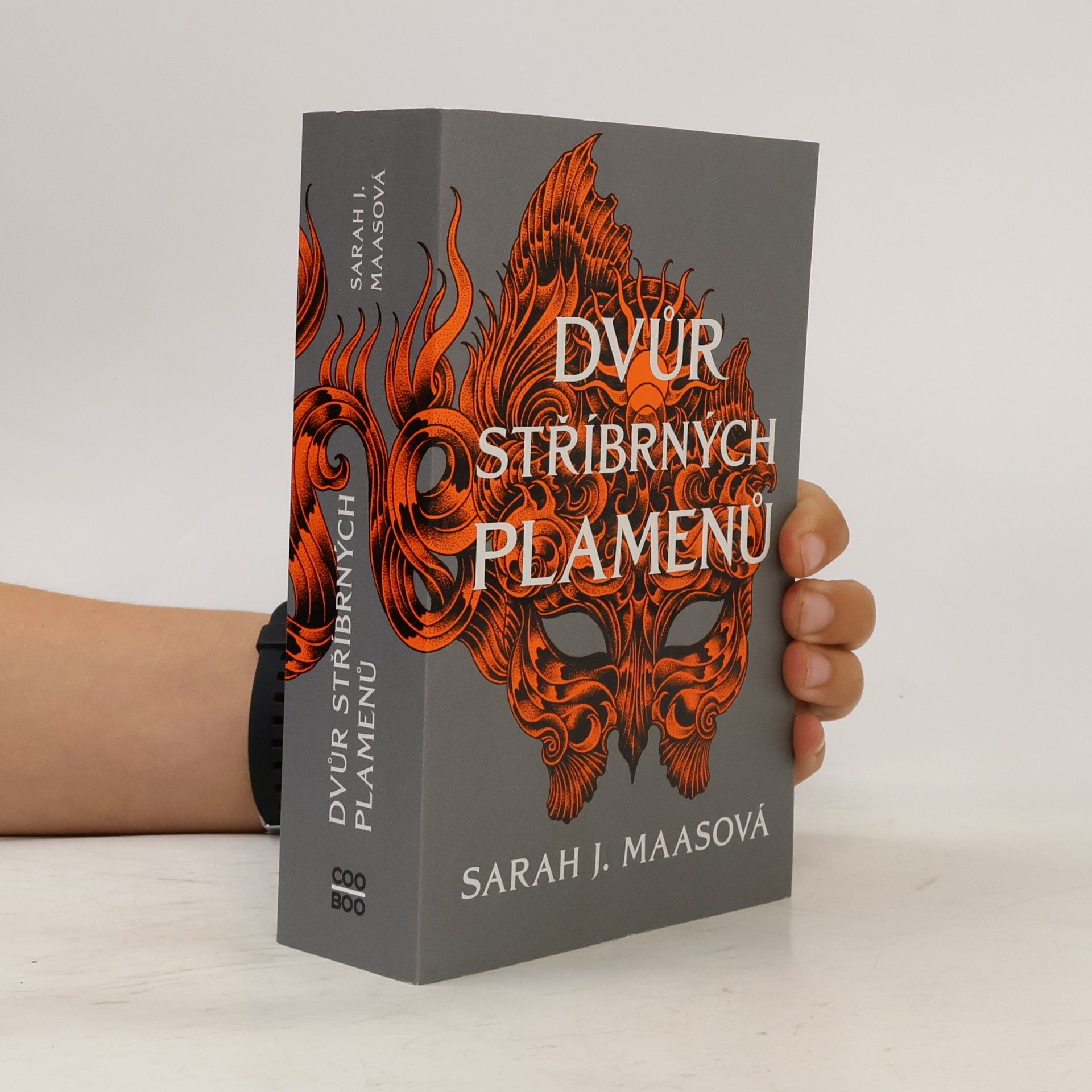 Sarah J. Maasová Dvůr stříbrných plamenů