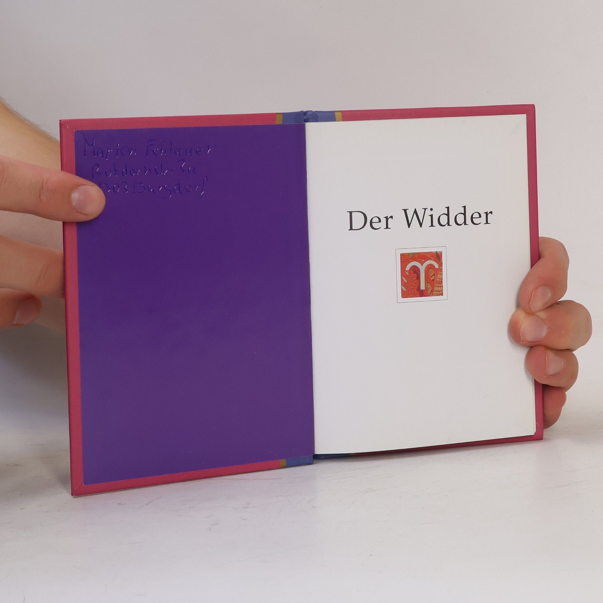 Amy Stern Der Widder