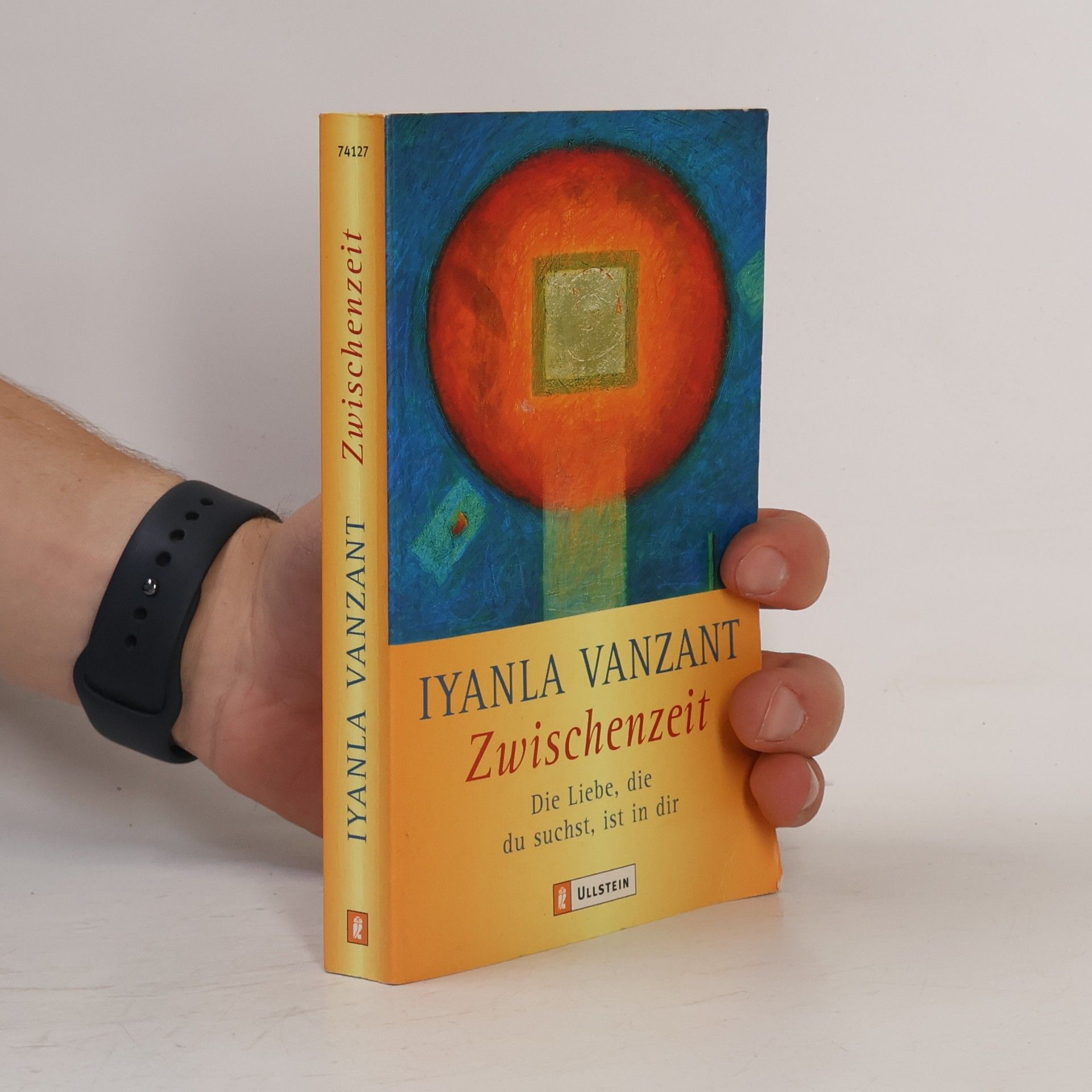 Iyanla Vanzant Zwischenzeit