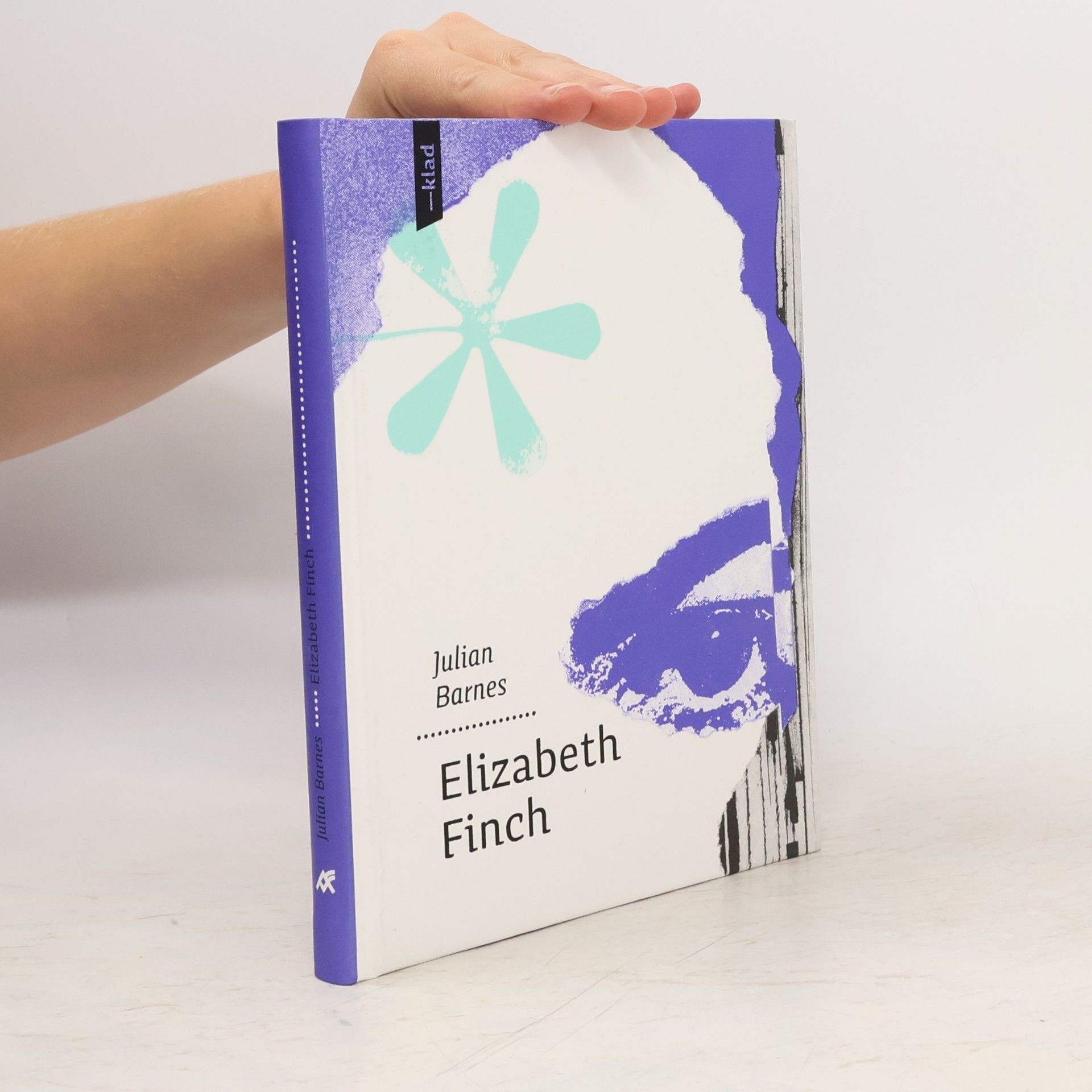Julian Barnes Elizabeth Finch