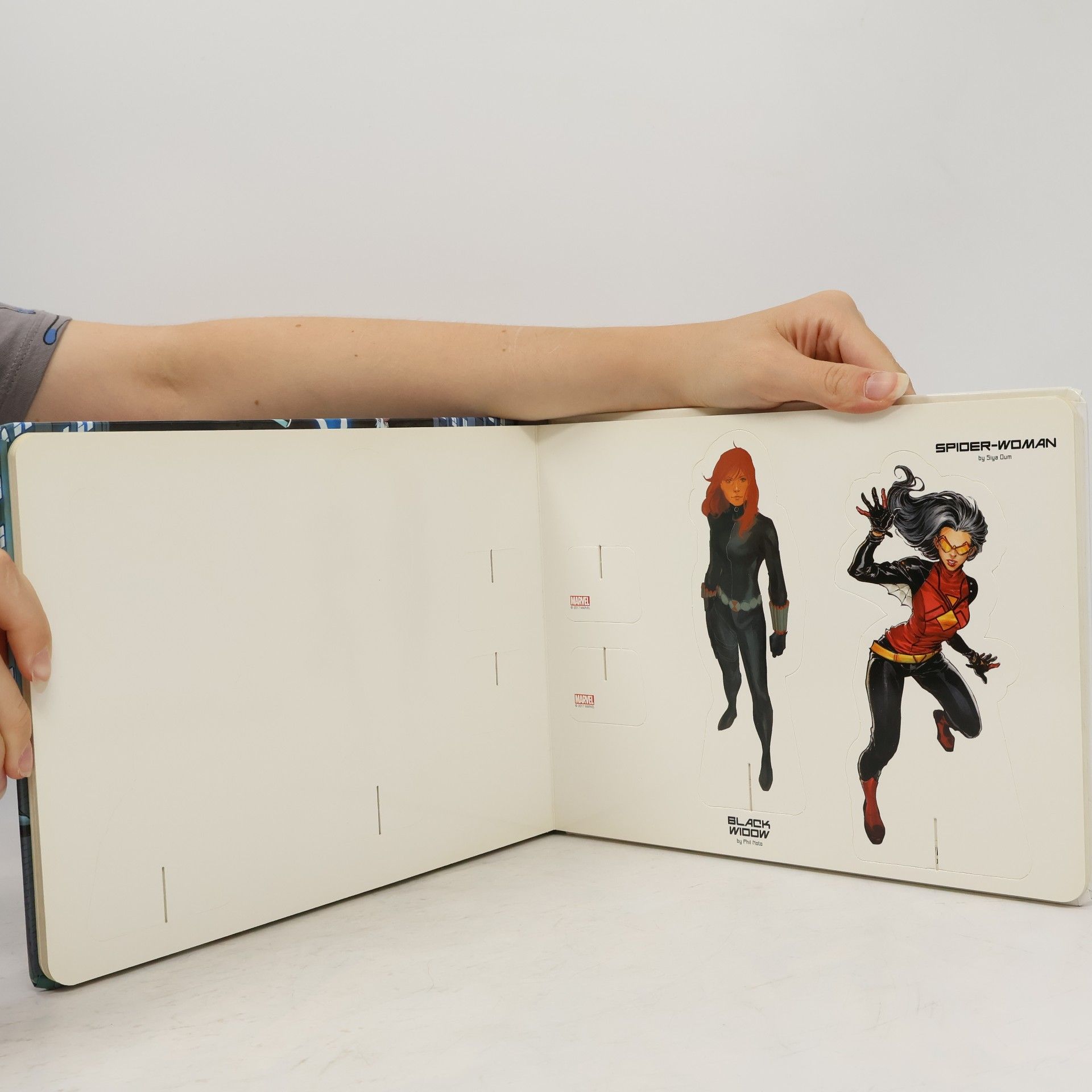 Marvel Comics Heroes of Power: The Women of Marvel