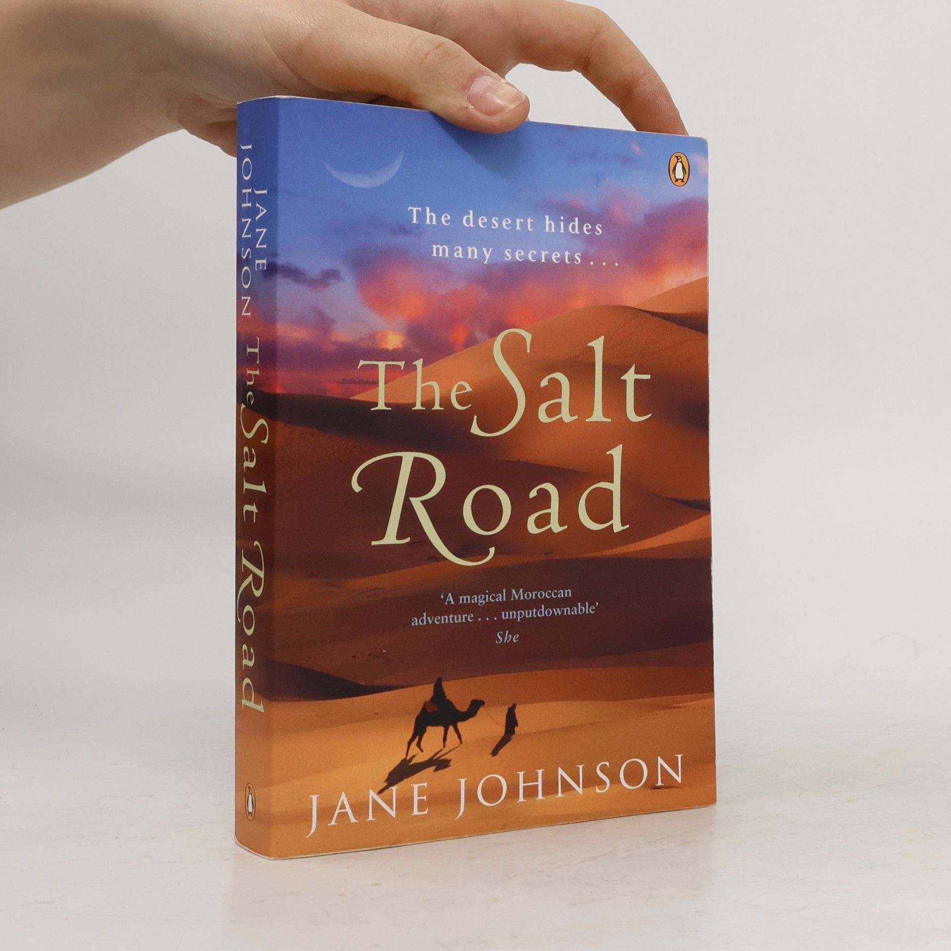Jude Fisher The Salt Road