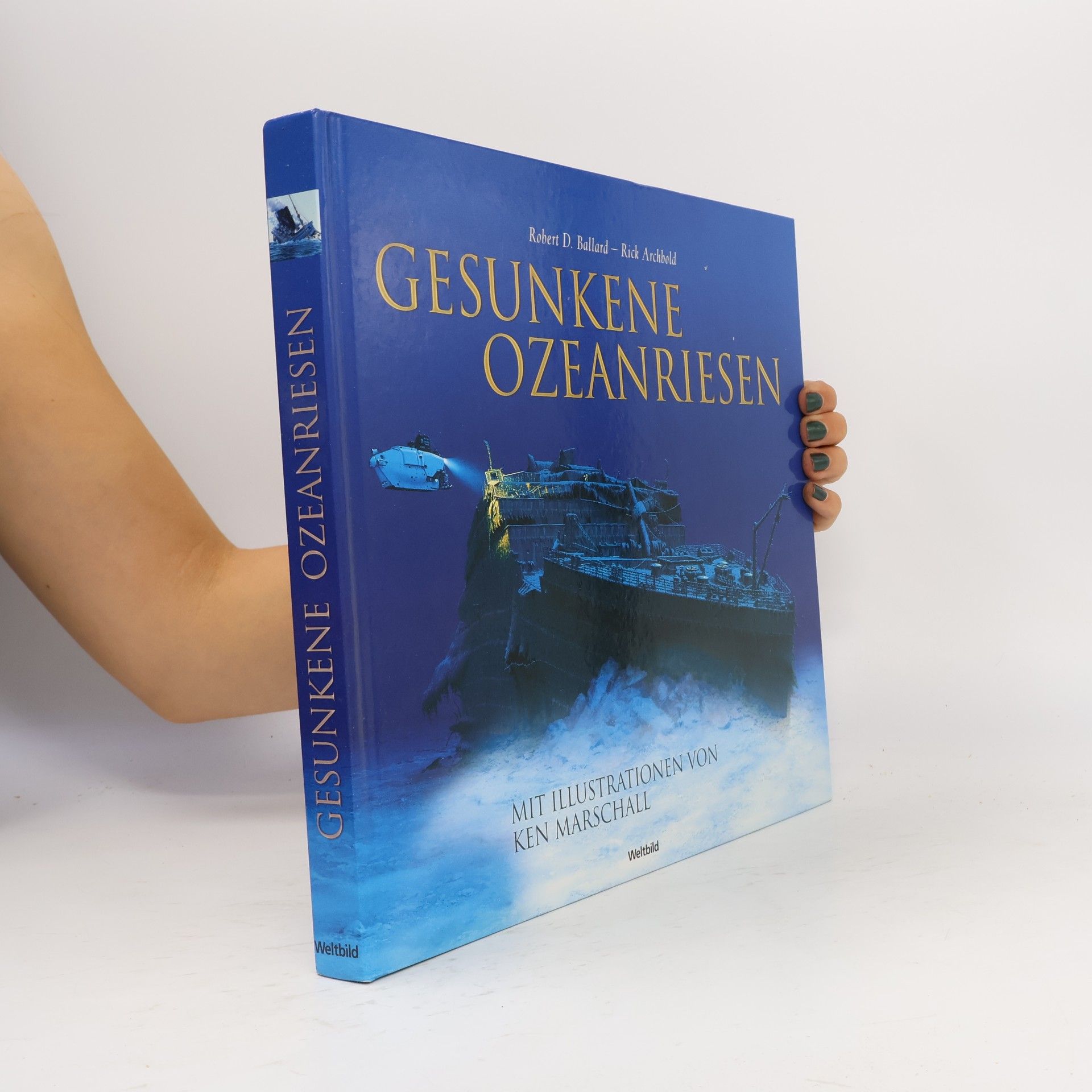 Gesunkene Ozeanriesen