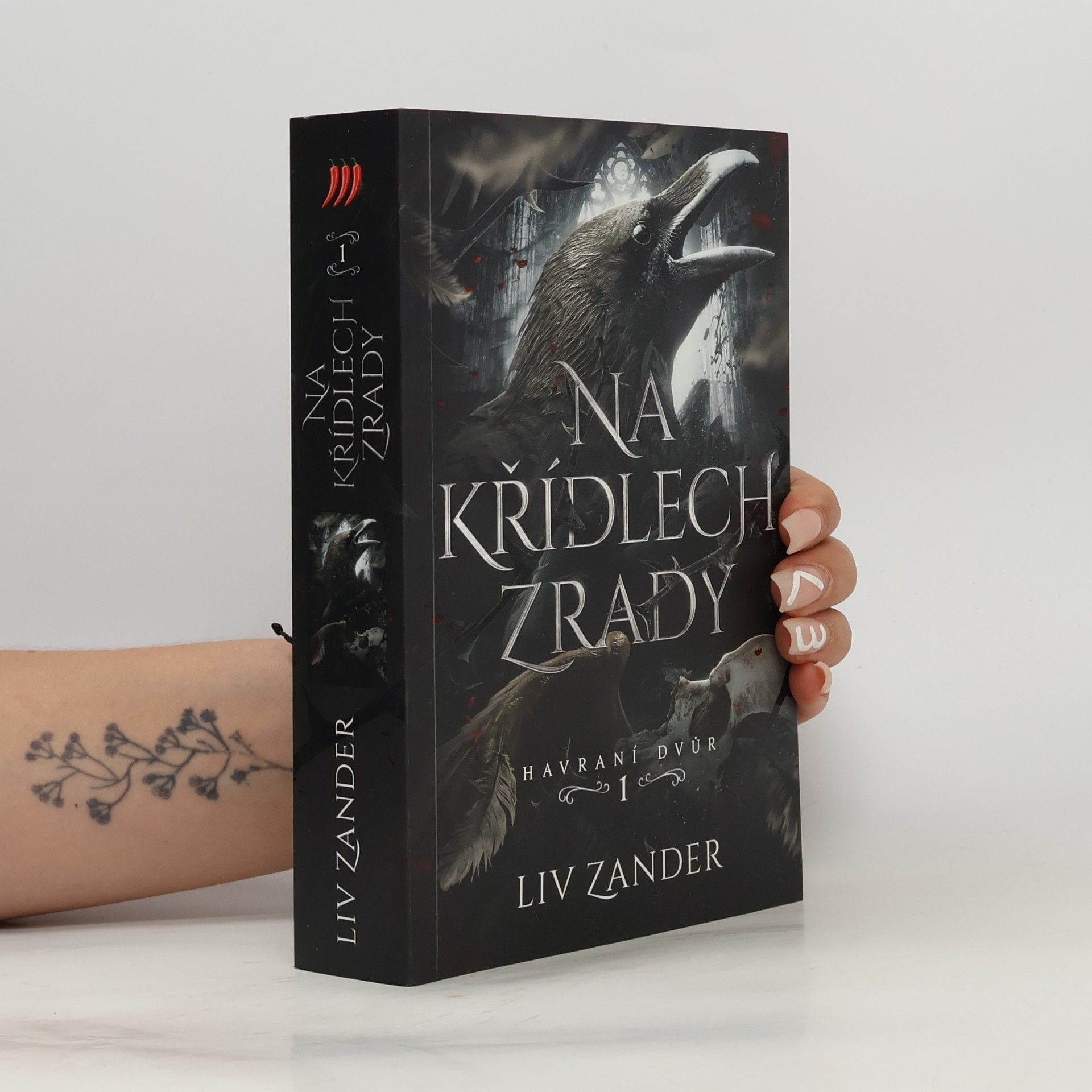 Na křídlech zrady