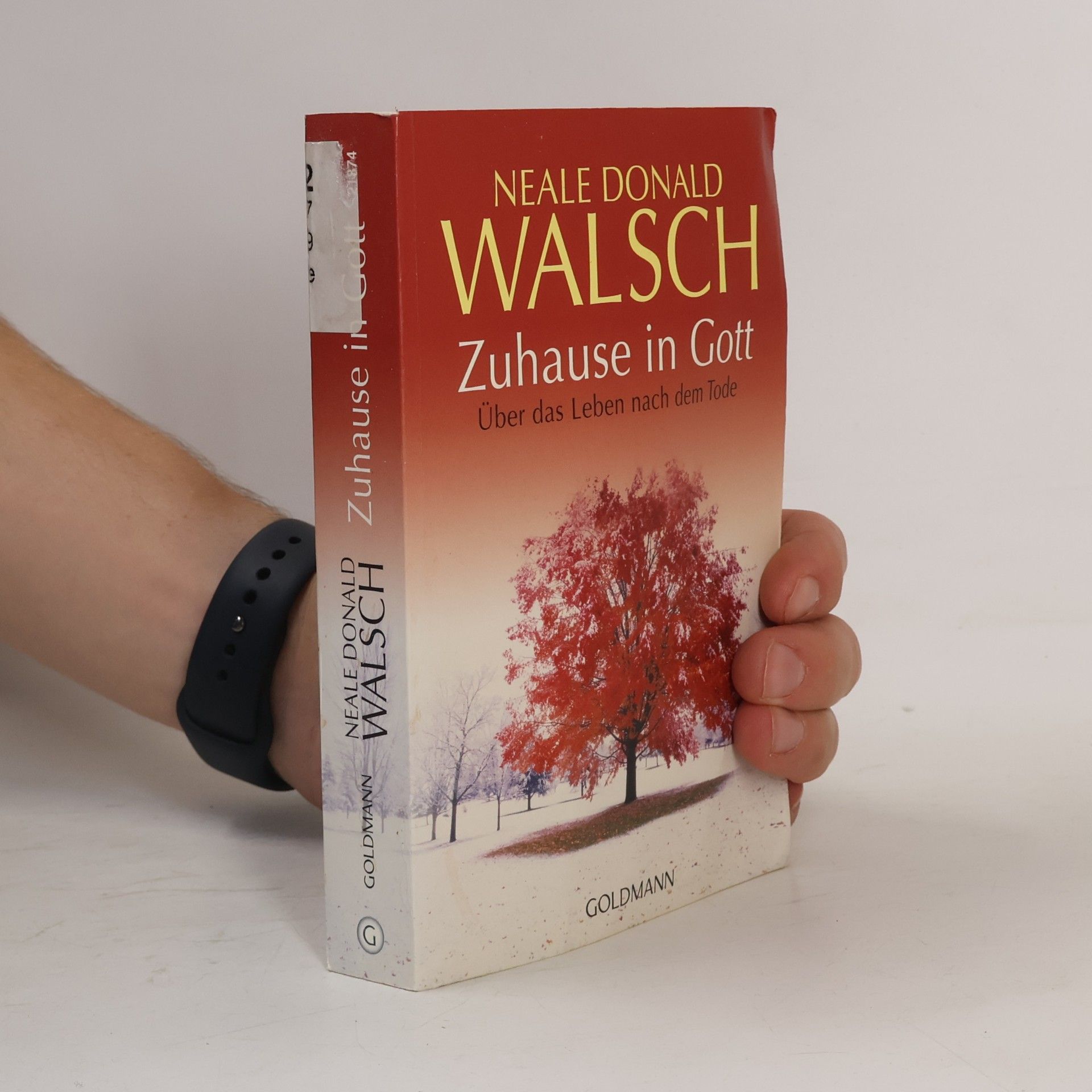 Neale Donald Walsch Zuhause in Gott