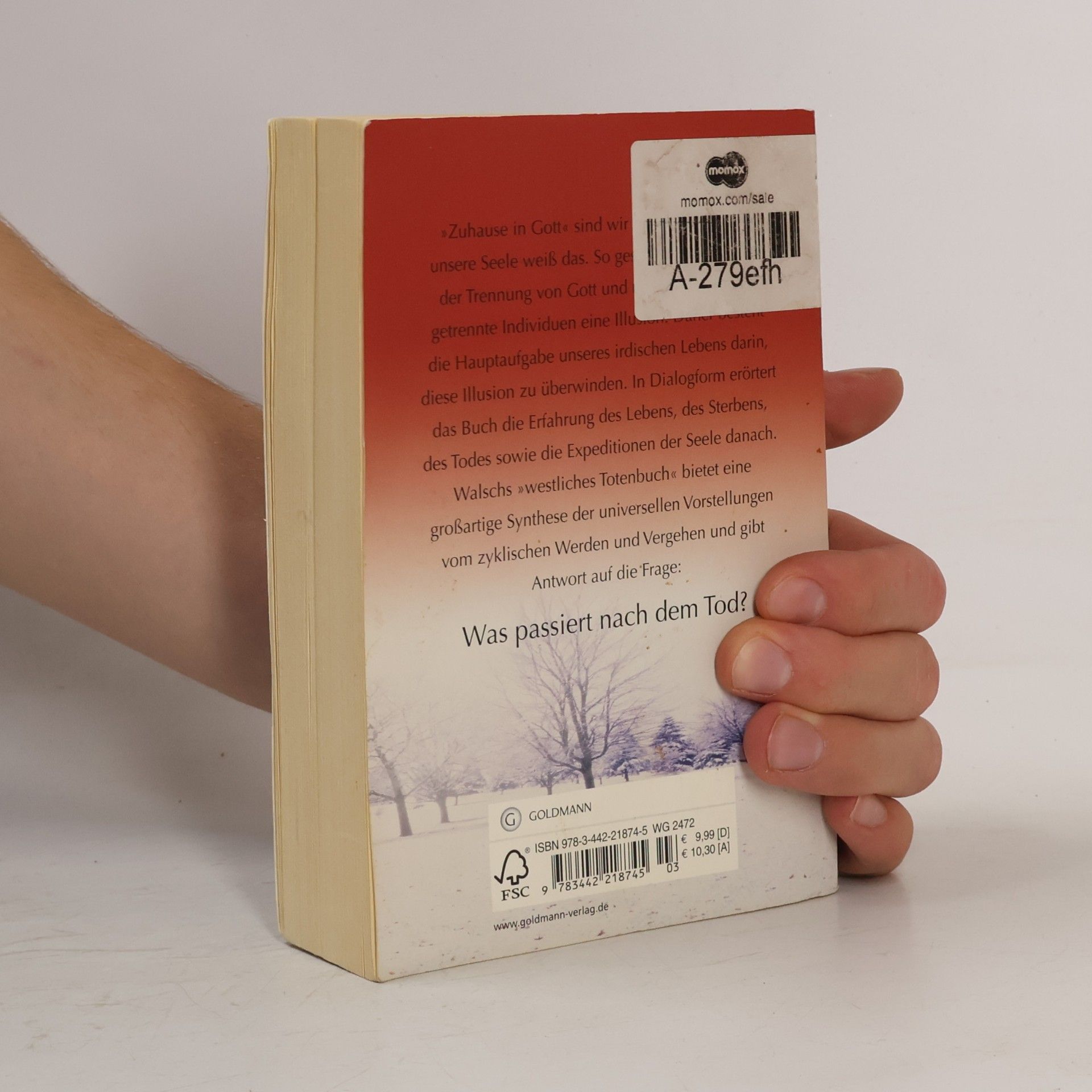 Neale Donald Walsch Zuhause in Gott
