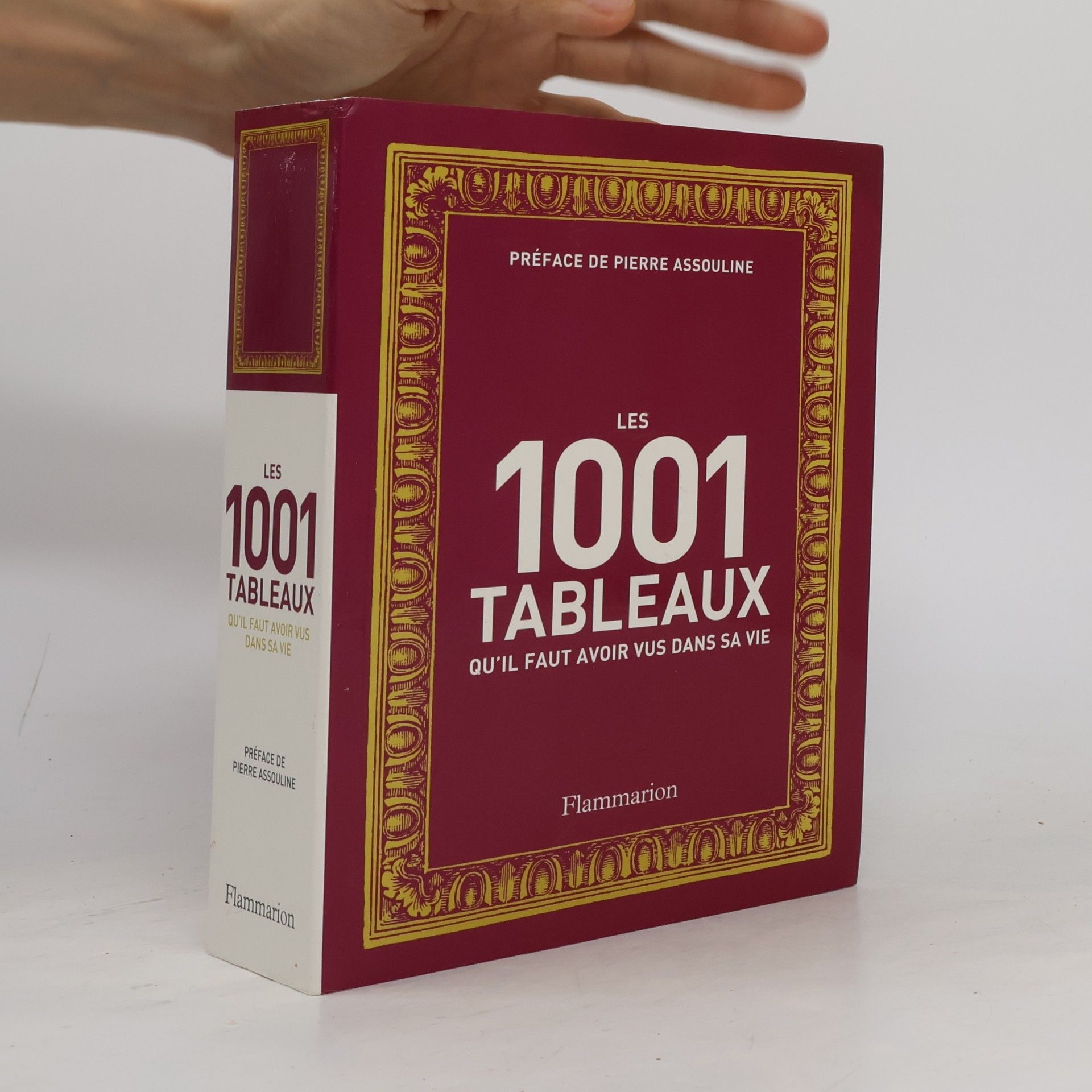 Pierre Assouline Les 1001 tableaux qu'il faut avoir vus dans sa vie