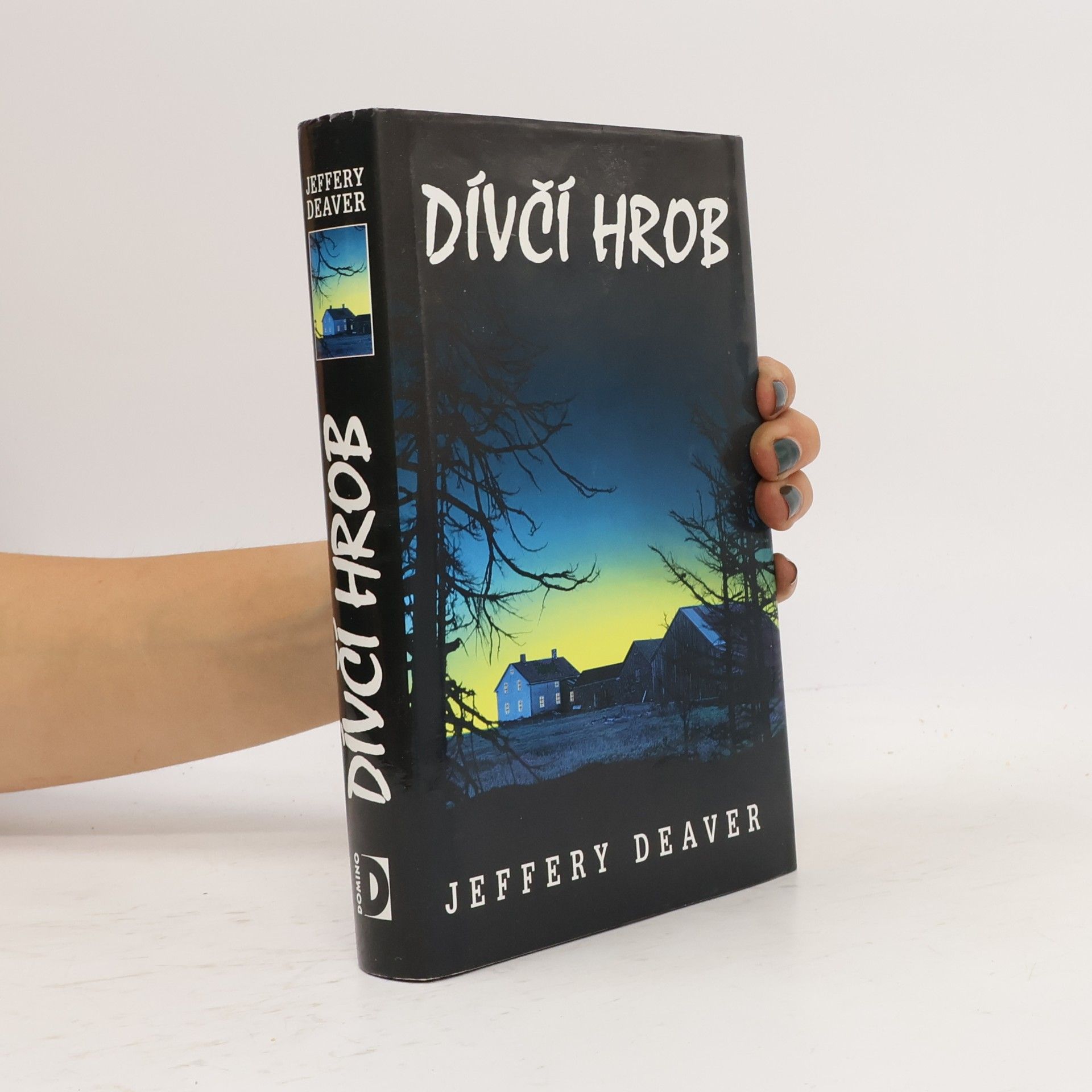 Jeffery Deaver Dívčí hrob